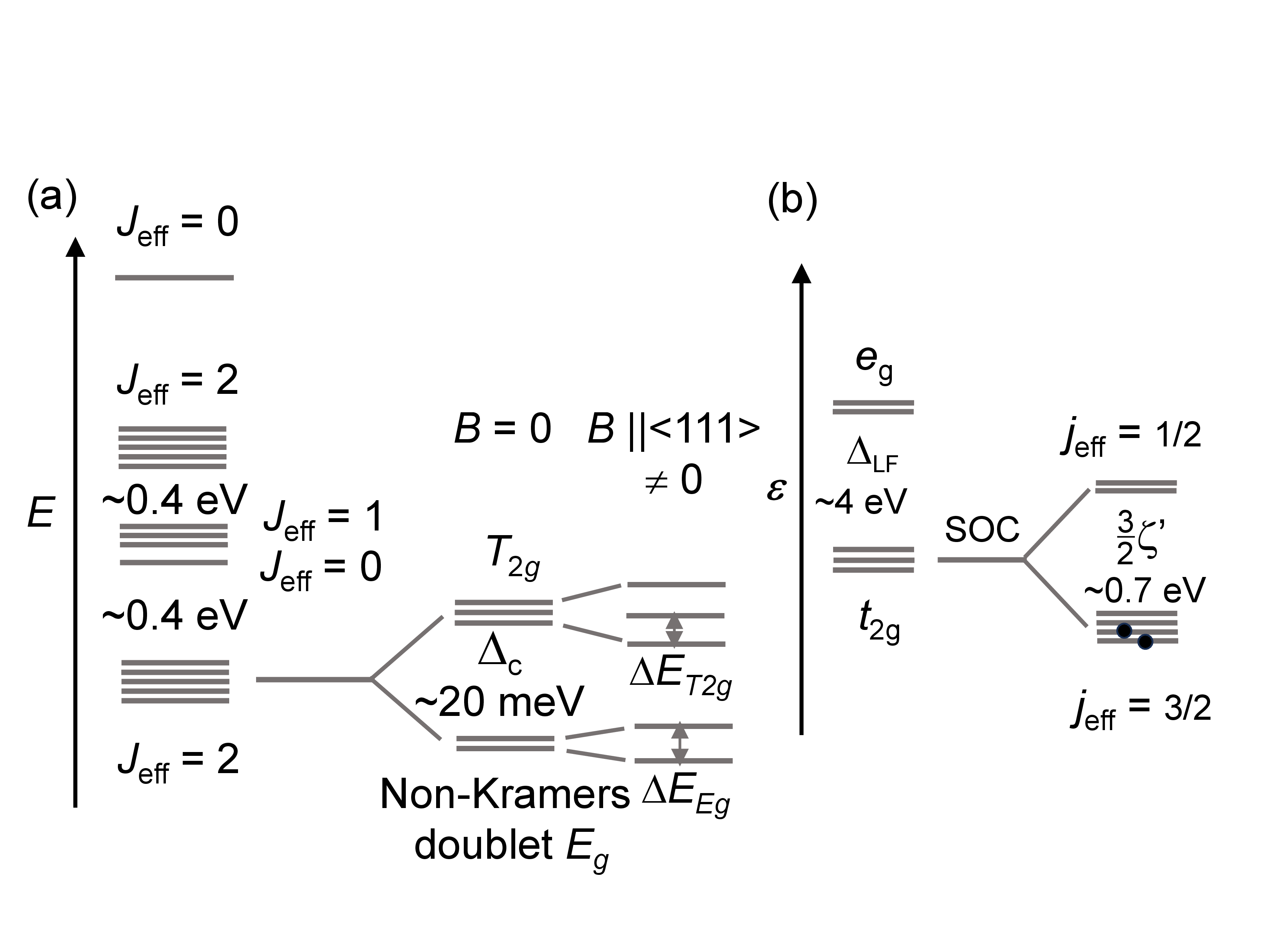 Figure 1: Energy levels of the Os^{6+} (5d^2) ion in the cubic (O_h) crystal field. (a) The t_{2g}^2 part of the 5d^2 multiplet levels. The t_{2g}e_g part is located at higher energies separated by the t_{2g}-e_g splitting of \Delta_{\rm LF}\sim 4 eV, see panel (b). The lowest multiplet state J_{\rm eff}= 2 is split by a residual cubic splitting, \Delta_{\rm c}, into the non-Kramers E_g doublet ground state and the T_{2g} triplet excited states. Under a finite magnetic field B\parallel \langle 111\rangle, the non-Kramers doublet is split into the two magnetic octupolar eigenstates |\psi_{g,\pm}\rangle (defined in the text) separated by \Delta E_g (\propto B^3) and the triplet is split by the Zeeman energy \Delta E_{T_{2g}} (\propto B). (b) One-electron energy levels of the Os 5d orbitals. \Delta_{\rm LF} is the t_{2g}-e_g ligand-field splitting. Spin-orbit coupling (SOC) splits the t_{2g} level further into the j_{\rm eff} = \frac{1}{2} and j_{\rm eff} = \frac{3}{2} levels separated by \frac{3}{2}\zeta', and the j_{\rm eff} = \frac{3}{2} level is occupied by two electrons.