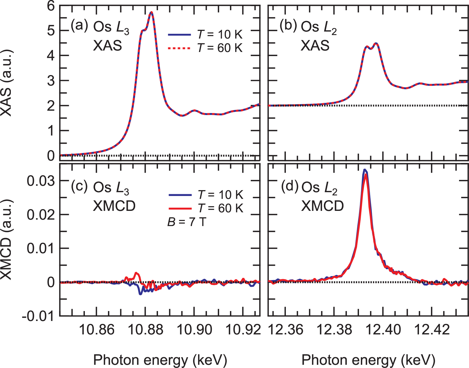 Figure 2: X-ray absorption spectroscopy (XAS) and x-ray magnetic circular dichroism (XMCD) spectra of Ba_2CaOsO_6 at the Os L_{2,3} edges measured at T=10\;\text{K} and 60\;\text{K} under the magnetic fields of \pm​7 T before background subtraction. (a), (b) XAS spectra at the Os L_3 and L_2 edges, respectively. (c), (d) XMCD spectra at the Os L_3 and L_2 edges, respectively.