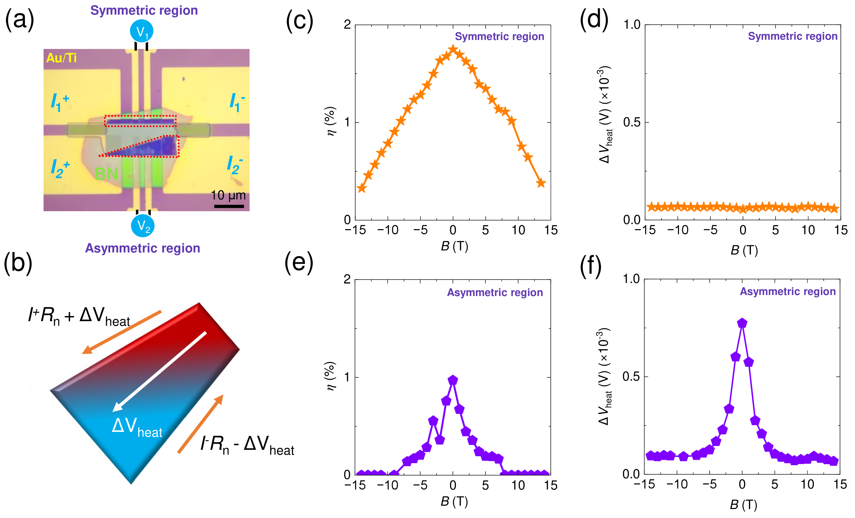 Figure 4: The dependence of rectification coefficient (\eta) and thermoelectric potential (\Delta V_{heat}) on magnetic fields in symmetric and asymmetric configurations. (a) Optical image of symmetric and asymmetric sample with a scale bar denoting 10 \mum.The device was meticulously transferred via a dry-transfer process onto pre-fabricated electrodes and subsequently encapsulated with boron nitride for protection. This was followed by sophisticated micro-nano fabrication techniques to selectively etch the same sample into both symmetrical and asymmetrical configurations. (b) Illustration of the intrinsic potential voltage difference (\Delta V_{heat}) arising from thermal gradient in the specimen.The voltage disparity for equivalent currents of opposite polarity in the normal state manifests as twice the \Delta V_{heat}. (c) The rectification coefficient \eta dependence of applied magnetic fields manifests unequivocal even-symmetry. (d) The voltage differential(\Delta V_{heat}) calculated by | V_{+0.8 mA} - V_{-0.8 mA}| exhibits no discernible dependence on the magnetic field. (e) The rectification coefficient \eta dependence of applied magnetic fields manifests unequivocal even-symmetry. (f) The voltage differential manifests a pronounced even-symmetry characteristic.