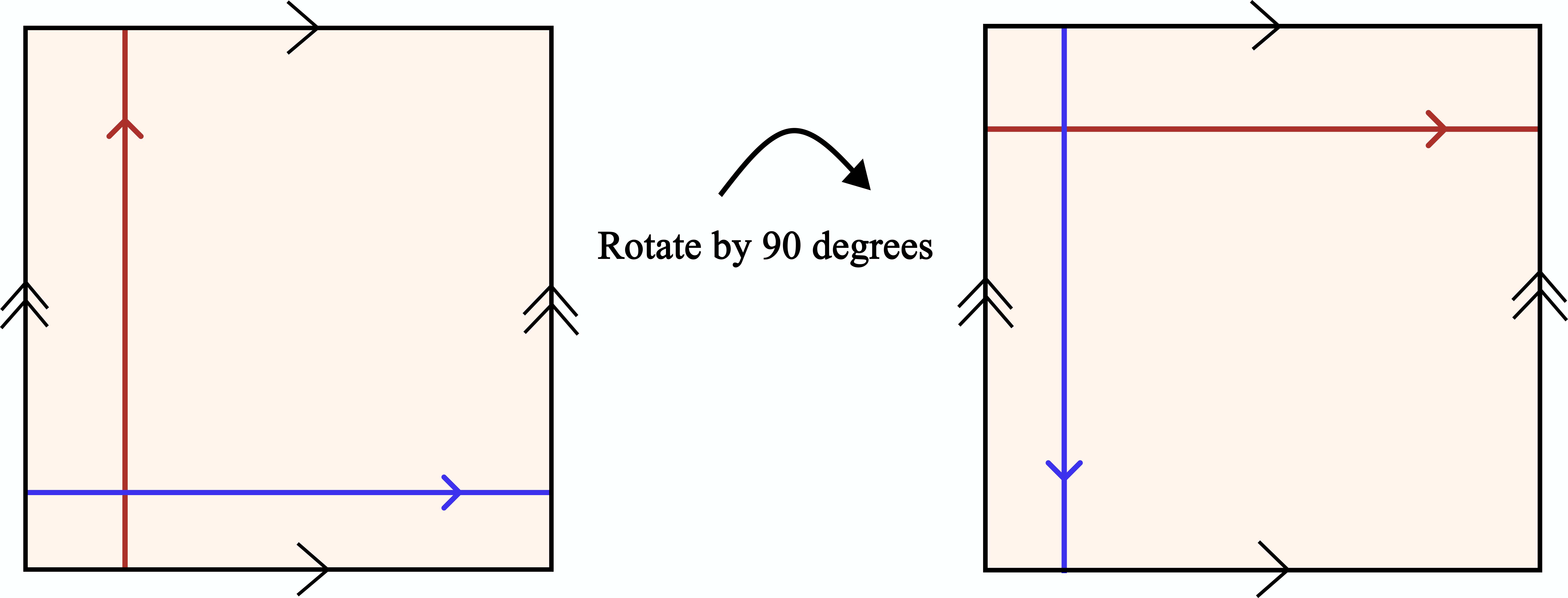 Figure 10: S transformation (\pi/2 rotation) on the 2-torus.