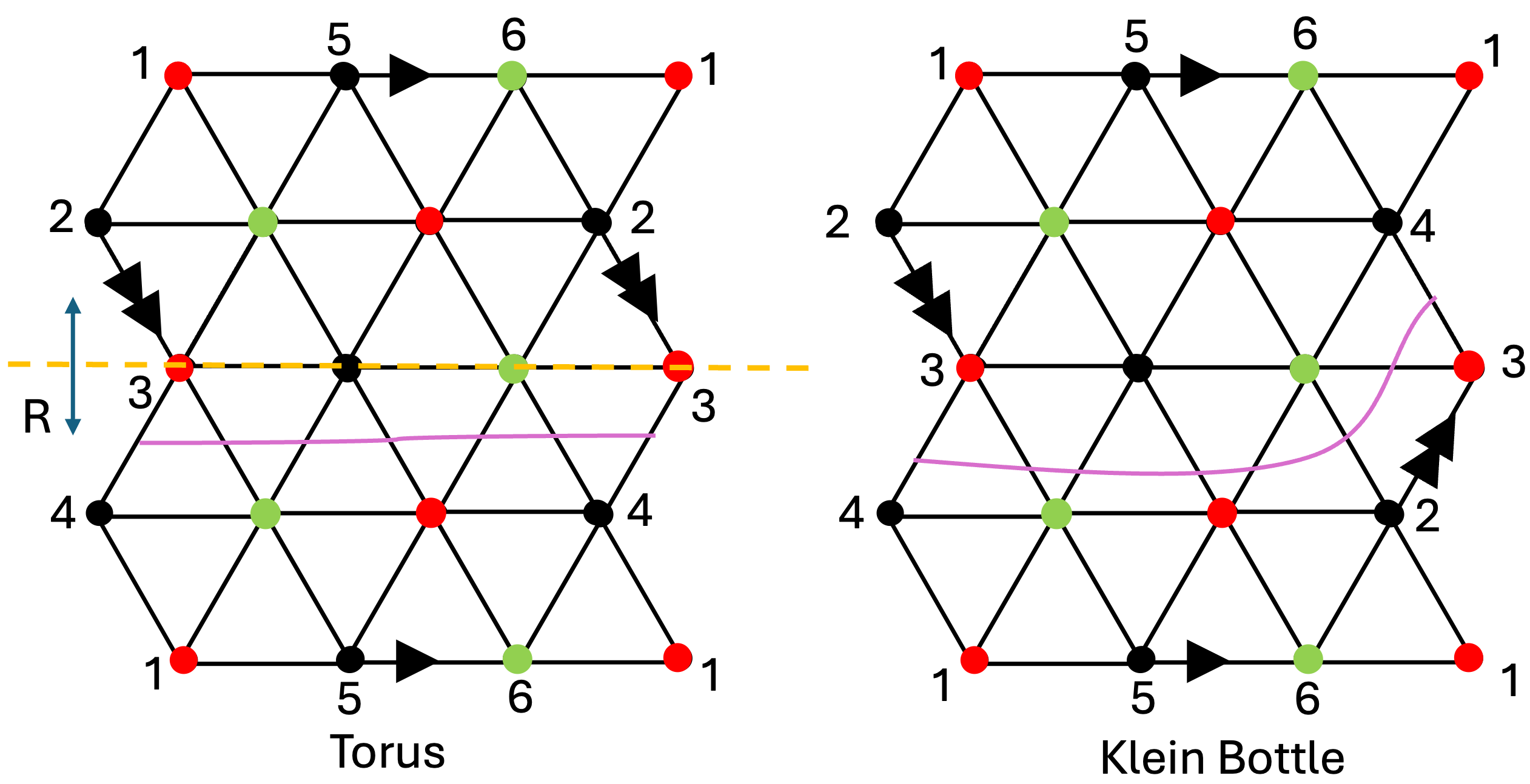 Figure 2: A tripartite (red, green, black) triangular lattice with Torus and Klein bottle boundary conditions. The arrows and the numbering of lattice sites indicate how the boundary degrees of freedom are identified. A symmetry defect can be inserted along the nontrivial purple cycle. On the Klein bottle, the defect line runs along the orientation reserving nontrivial cycle.