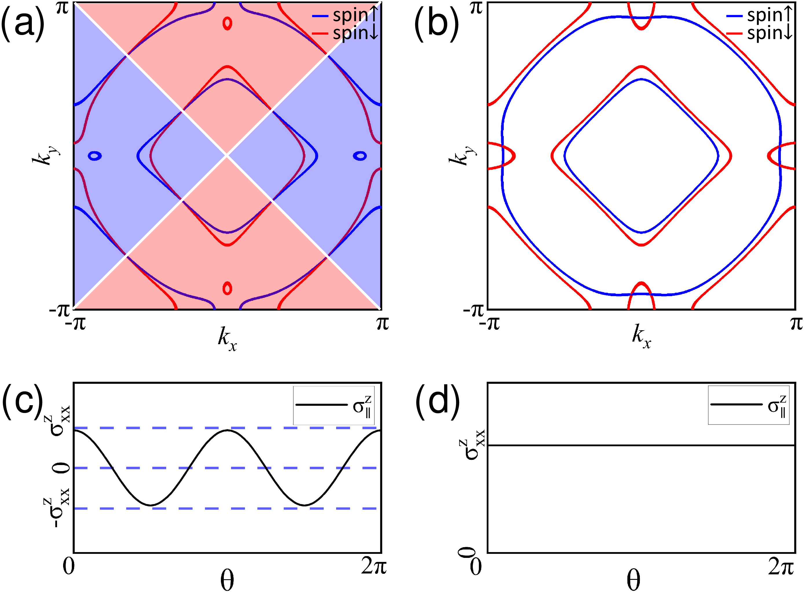 Figure 4: Spin conductivity anisotropy as a probe of quantum phase transition. (a) Fermi surface with d-wave spin splitting induced by the \tau_z-type AM order with \Delta_{\text{AM}}=0.2. (b) Fermi surface with isotropic spin splitting from the ferromagnetic order with \Delta_{\text{FM}}=0.2. (c) Anisotropic spin conductivity \sigma_{\parallel}(\theta) for \tau_z-type AM, following \sigma_{\parallel}(\theta)=\sigma^z_{xx}\cos(2\theta) with \sigma^z_{xx}=-\sigma^z_{yy}=8.83, characteristic of d-wave symmetry. (d) Nearly isotropic spin conductivity for FM, demonstrating distinct transport signatures between phases. All calculations use the same parameters as in Fig. 2 (b).
