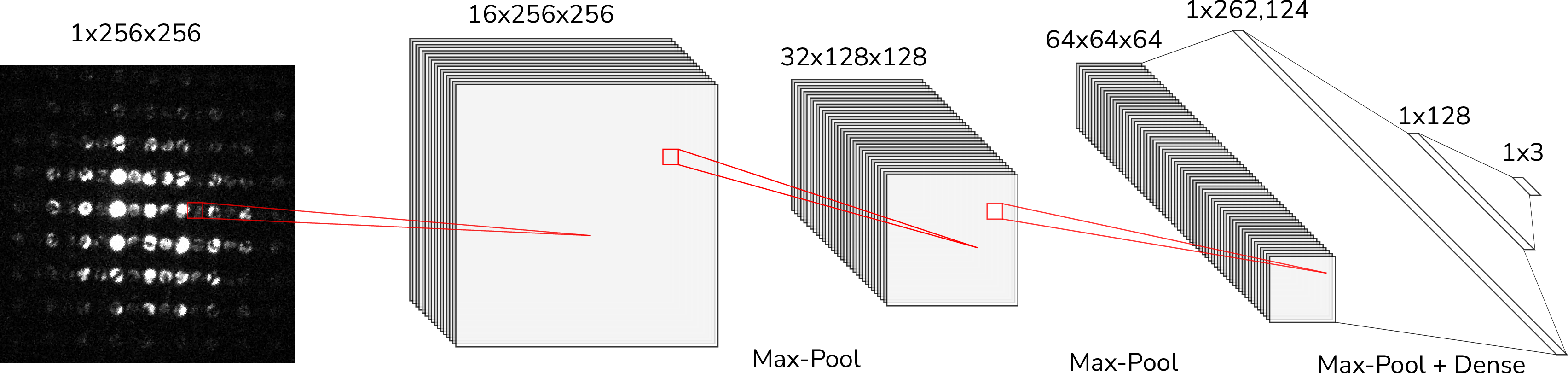 Figure 4: Architecture of our convolution neural network model (ghost hunter) used to predict polarization of individual 4D-STEM images