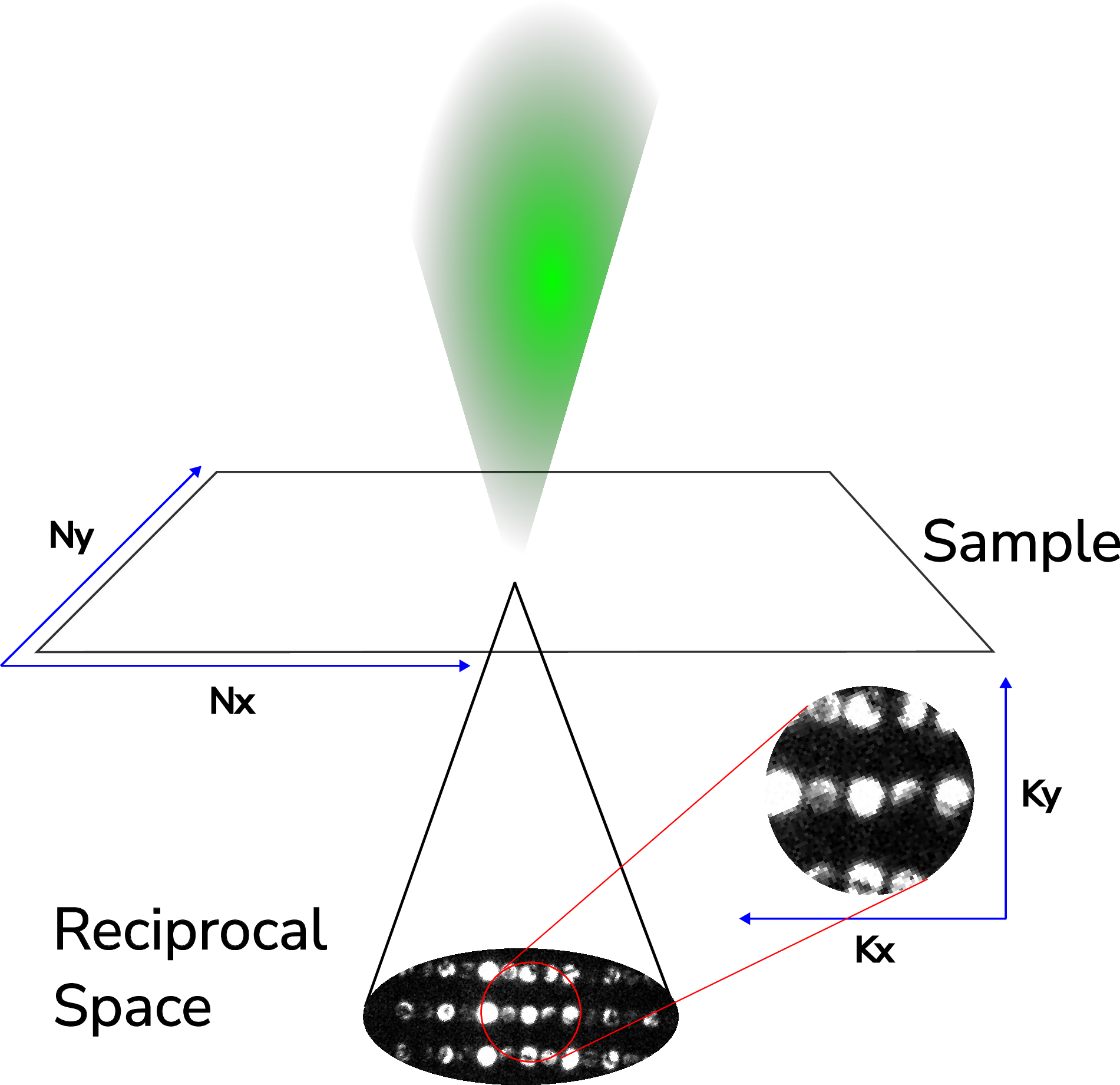 Figure 1: Diagram illustrating a two-dimensional convergent-beam electron diffraction pattern of a sample. The inset shows a magnified ghost disk. Real space (N_{x}, N_{y}) and reciprocal space (K_{x}, K_{y}) are displayed along the dimensions of both the sample and the diffraction image, respectively. The magnified section displays the faint ghost disks present in the diffraction images.