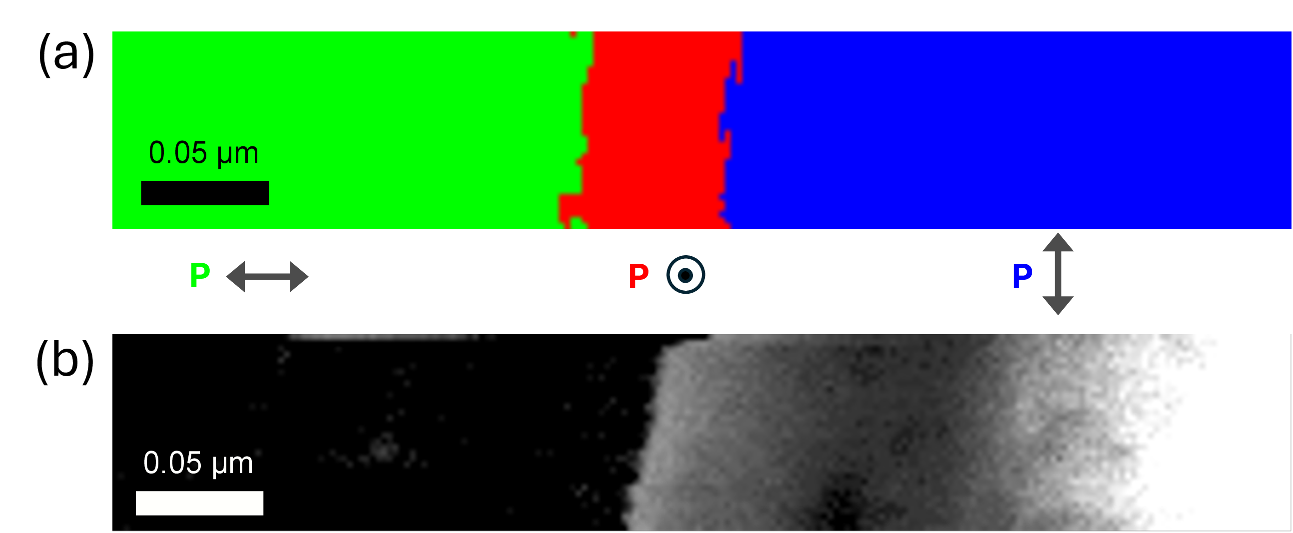 Figure 5: 4D-STEM image of . Real-space segmentation result showing ferroelectric domain structure. Each pixel corresponds to a probe position associated with a diffraction pattern (reciprocal space), and model inference outputs a three-dimensional array representing no polarization, vertical polarization, and horizontal polarization, mapped to RGB values. For example, [0, 255, 0] represents pure green (vertical polarization). (a) Segmentation map from convolutional neural network inference. (b) Domain wall visualised by manual analysis using the py4DSTEM package. Where darker spots represent more horizontally polarised images and lighter regions represent more vertically polarised images.