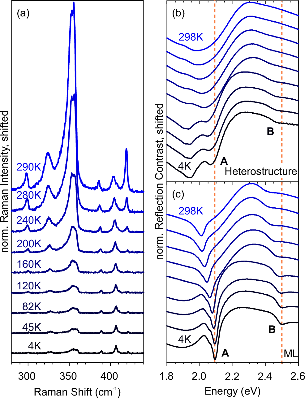 Figure 5: (a) Temperature-dependent Raman spectra of a MoS_2/WS_2 heterostructure at 532 nm excitation. All spectra are normalized to the Si phonon. Raman modes of interest are the WS_2 A_{1g} mode at 420 cm^{-1} and the combined 2LA(M)/ E^1_{2g} peak at 355 cm^{-1}. (b,c) Low-temperature white-light reflectance contrast (RC) measurements of the same sample. RC=(R_{Sample}-R_{Ref})/R_{Ref} was used for normalization, with R_{Ref} being the reflectance of the bare Si/SiO_2 substrate. Furthermore, all spectra were normalized to the minimum of the WS{_2} A exciton for better illustration of energetic shifts. The dotted line indicates the WS_2 monolayer’s A and B exciton energies at 4 K.