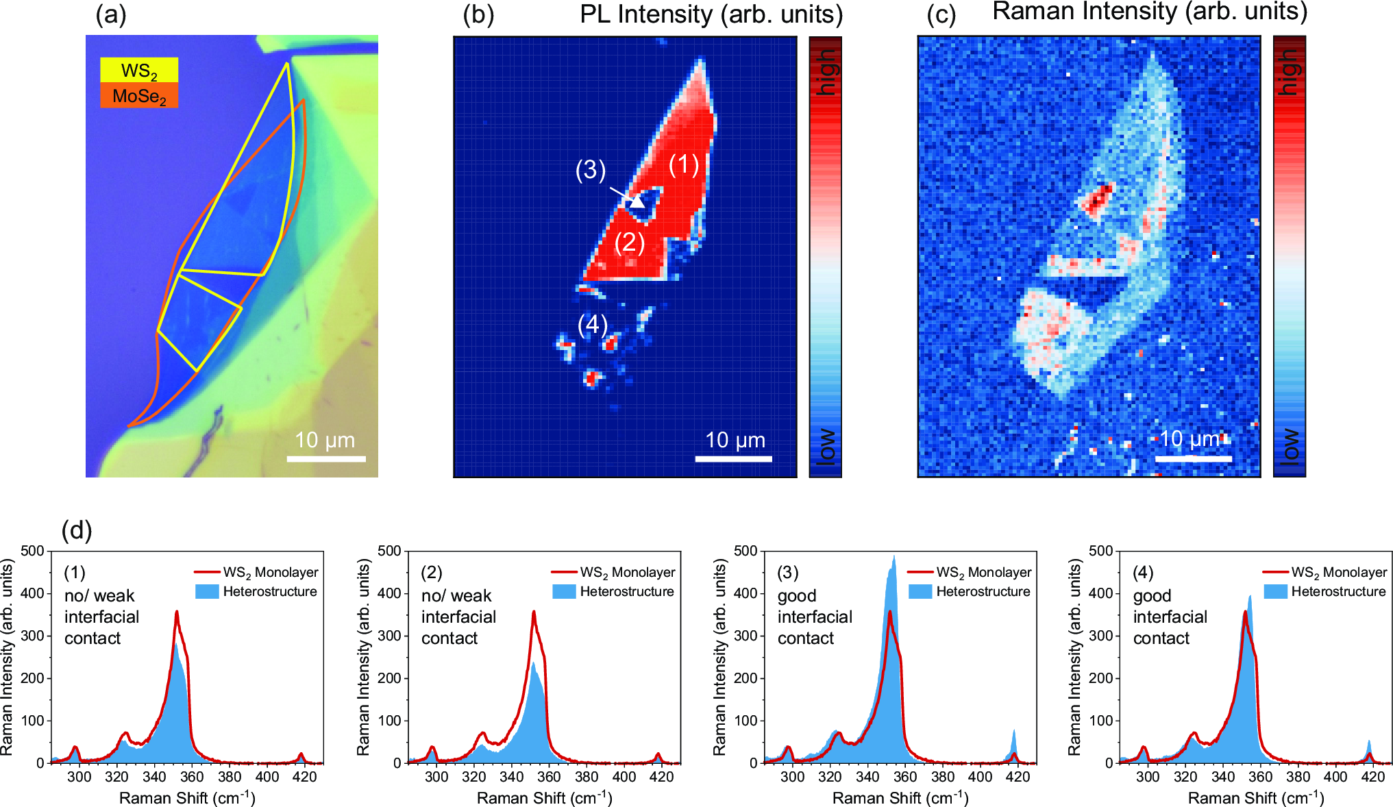 Figure 10: Characterization of a MoSe_2/WS_2 heterostructure. (a) Optical microscope image of the sample, consisting of an exfoliated MoSe_2 monolayer (bottom) and an exfoliated WS_2 monolayer (top). (b) PL map showing the WS_2 A exciton emission after preparation. While some heterostructure regions ((1),(2)) lack good interfacial contact, others already show PL quenching ((3), (4)). Thus, the sample was not annealed. (c) Raman map displaying the spatial distribution of the WS_2 A_{1g} mode intensity. Enhancement occurs in regions with pronounced PL quenching. (d) Averaged Raman spectra of heterostructure regions. Average enhancement factors of 3.34 \pm 0.53 (3) and 2.26 \pm 0.30 (4) are obtained. Maximum detected enhancement factors are 4.73 (3) and 4.26 (4). PL and Raman spectra were measured using an excitation wavelength of 532 nm.