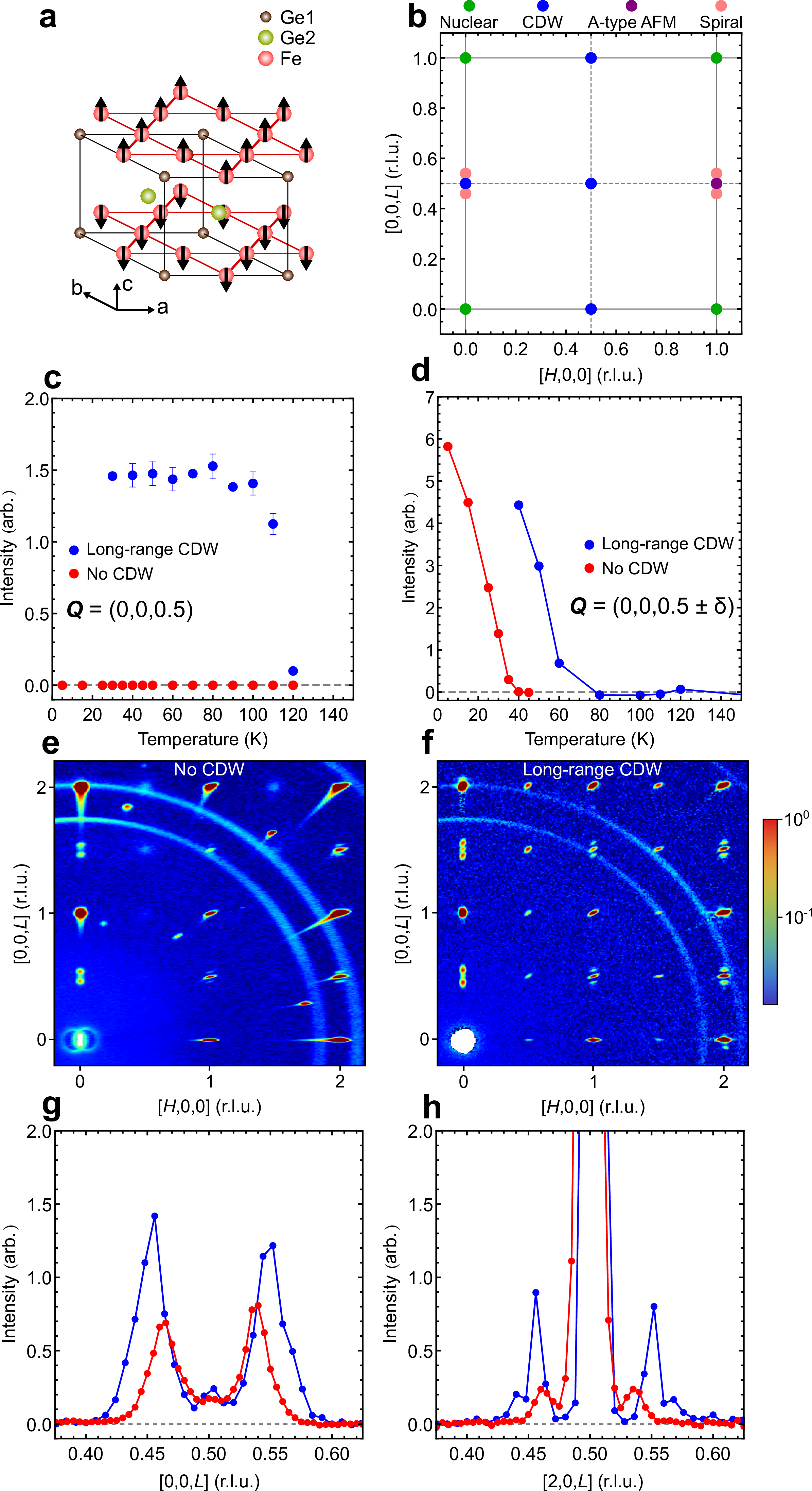 Figure 1: a. A-type antiferromagnetic order on the FeGe kagome lattice. Two Ge positions are identified as Ge1 and Ge2. b. Schematic of reciprocal space showing the locations of various CDW, nuclear, commensurate and incommensurate magnetic Bragg peaks at base temperature in long-range CDW ordered samples. c. Order parameter scan of the CDW Bragg peak \boldsymbol{Q} = (0,0,0.5) for samples with no CDW order and long-range CDW order. d. Order parameter scan of the incommensurate magnetic Bragg peaks \boldsymbol{Q} = (0,0,0.5\pm \delta) for both sample types. e-f. Reciprocal space map in log scale of sample with no CDW and long-range CDW order respectively at 5 K. Peaks not located at integer or half-integer in e are a result of a second grain within the single crystal and can be ingored, as these peaks randomly coincide with the [H,0,L] plane of the primary aligned crystal grain. g-h. Q-cuts of the incommensurate magnetic Bragg peaks around \boldsymbol{Q}=(0,0,0.5) and (2,0,0.5) respectively comparing long-range CDW samples (blue) and no CDW samples (red). Reciprocal space map intensities, and by consequence Q-cuts, of both annealed samples are normalized to the \boldsymbol{Q} = (0,0,1) nuclear Bragg peak. Error bars correspond to one standard deviation.