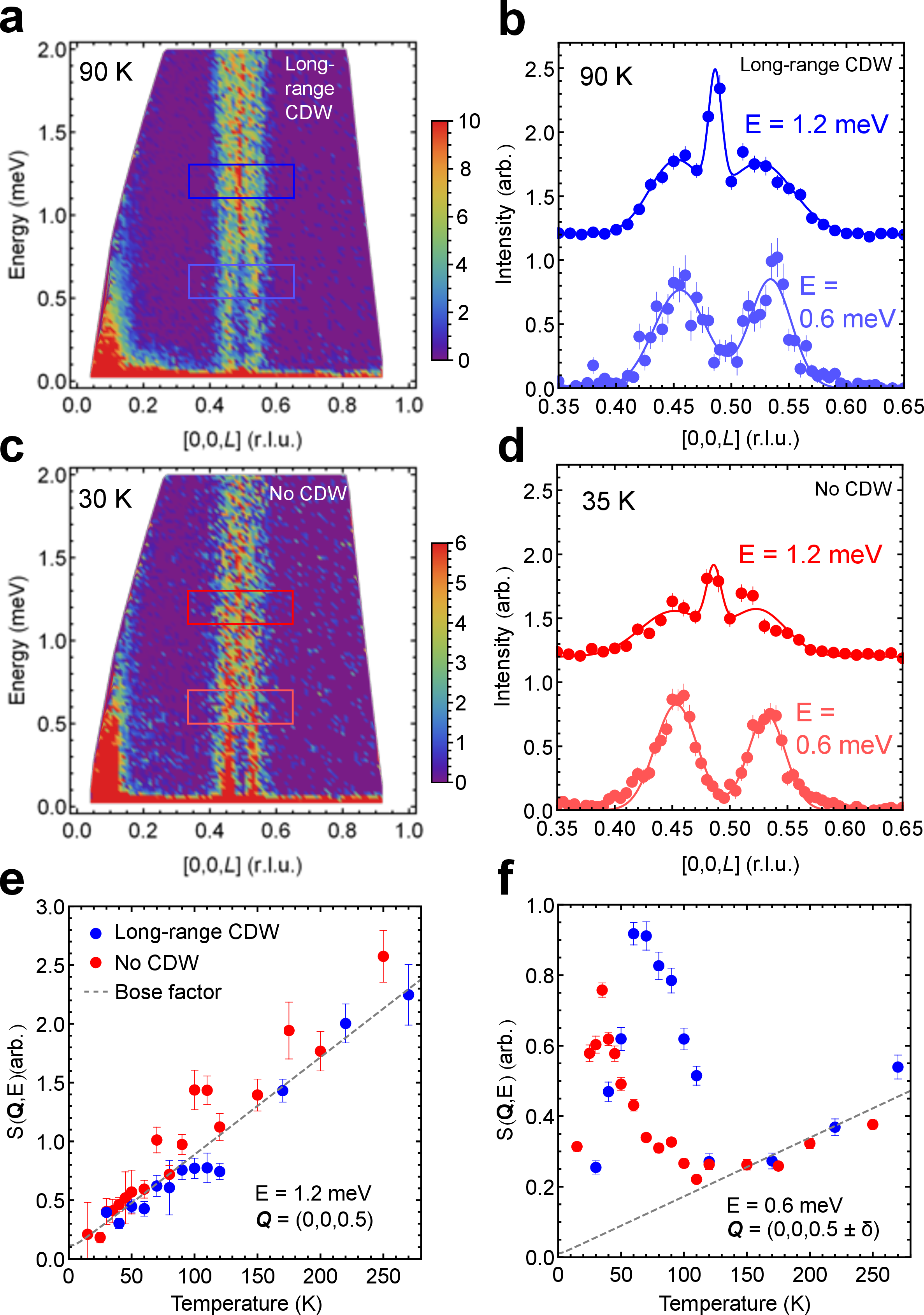 Figure 2: a. Low energy excitation spectra of the long-range CDW ordered sample at 90 K. b. Constant energy cuts along \boldsymbol{Q} = [0,0,L] using the integrated intensity range depicted by rectangles in a. c-d. Same as a-b but for samples with no CDW order. e. Commensurate excitation intensity as a function of temperature extracted from the three-gaussian fits to the Q-cuts at 1.2 meV in b,d for samples with and without long-range CDW order. f. Incommensurate excitation intensity as a function of temperature extracted from the three-gaussian fits to the Q-cuts at 0.6 meV in b,d. The dashed line in e-f is the Bose population factor. Error bars correspond to one standard deviation.
