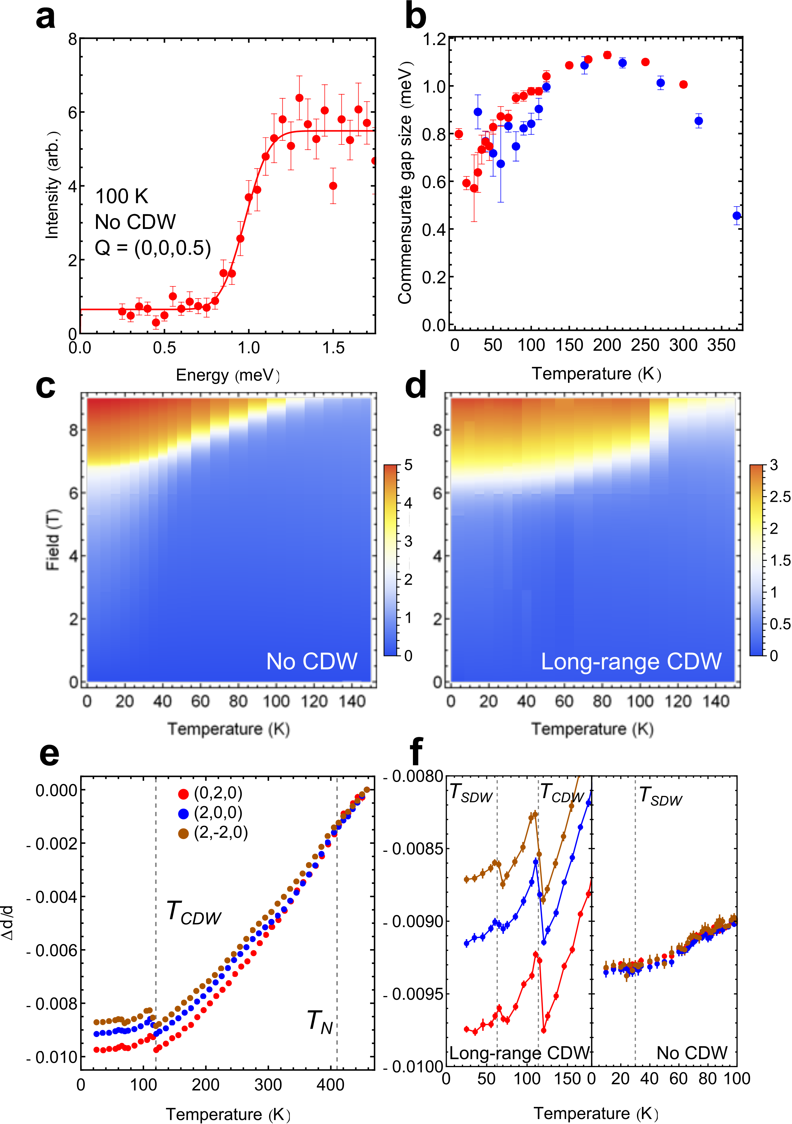 Figure 4: a. Sample fitting of the commensurate energy gap using Eq. 2 and integration range \boldsymbol{Q}=(0,0,0.5\pm 0.01). b. Commensurate energy gap size extracted from fits described in a as a function of temperature for no CDW samples (red) and long-range CDW samples (blue). c-d. Isothermal magnetic susceptibility heat map demonstrating the evolution of the spin flop transition in no CDW and long-range CDW samples respectively. e. Lattice spacing evolution of \boldsymbol{Q}=(0,2,0),\;(2,0,0),\;\text{and}\;(2,-2,0) nuclear Bragg pea ks as a function of temperature using neutron Larmor diffraction in a long-range CDW sample. f. A zoomed in view of e showing spontaneous lattice expansion at T_{SDW} and T_{CDW}, plus Larmor diffraction across T_{SDW} in the sample with no CDW. Error bars represent one standard deviation.