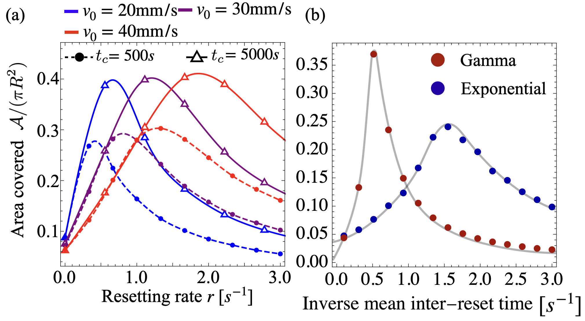 Figure 6: (a) Covered area \mathcal{A} normalized by the plate area obtained for two temporal cutoffs values, t_c. (b) Normalized \mathcal{A} calculated for exponential, p(\tau) = r \exp(- r \tau), and gamma distributions, p(\tau) = \tau^{k-1} \exp(-\tau/\theta)/\Gamma(k), with identical mean and k=10. (a) and (b) are obtained from simulations and experiments, at shaker frequency of 150 Hz.