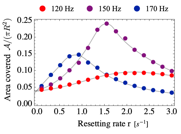 Figure 2: Resetting induces optimal covered area. Covered area \mathcal{A}, normalized by the plate area \pi R^{2}, as a function of the resetting rate r. The analysis is performed for three different shaker frequencies, as reported in the legend, corresponding to different particle parameters (see End Matter, Sec. 0.1). Dots represent data points, while the gray solid lines are guides to the eye. Optimal resetting rates are identified as the values of r that maximize the covered area.