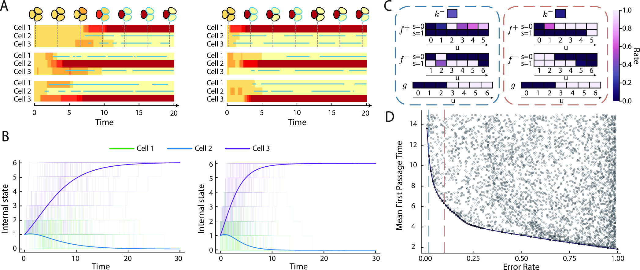 Figure 2: Self-organizing model is constrained by a speed-accuracy trade-off. (A) Kymographs showing example trajectories from optimized system with error rate \epsilon = 0.02 (left) and \epsilon = 0.1 (right). Color represents internal state (same as Fig. 1), blue line represents a cell receiving a signal. The corresponding multicellular state for select time points is illustrated above for the first kymograph (B) Average internal state for each cell conditioned on a successful trajectory where the inhibitor state was reached by cell 3, for \epsilon=0.02 (left) and \epsilon = 0.1 (right). 100 stochastic realizations are also shown. (C) Optimized model parameters for \epsilon=0.02 (left) and \epsilon = 0.1 (right). (D) Optimizing the mean first passage time over the set of model parameters p, while constraining the error, finds a speed-accuracy trade-off curve that all models are bounded by (black points). Additionally, 5000 randomly sampled parameter values (gray points) are shown, demonstrating that the entire region above the trade-off curve is accessible. Blue and red dotted lines show the error rates \epsilon=0.02 and \epsilon = 0.1 respectively. Throughout this figure, a model with M=3 cells with N=6 internal states is shown.