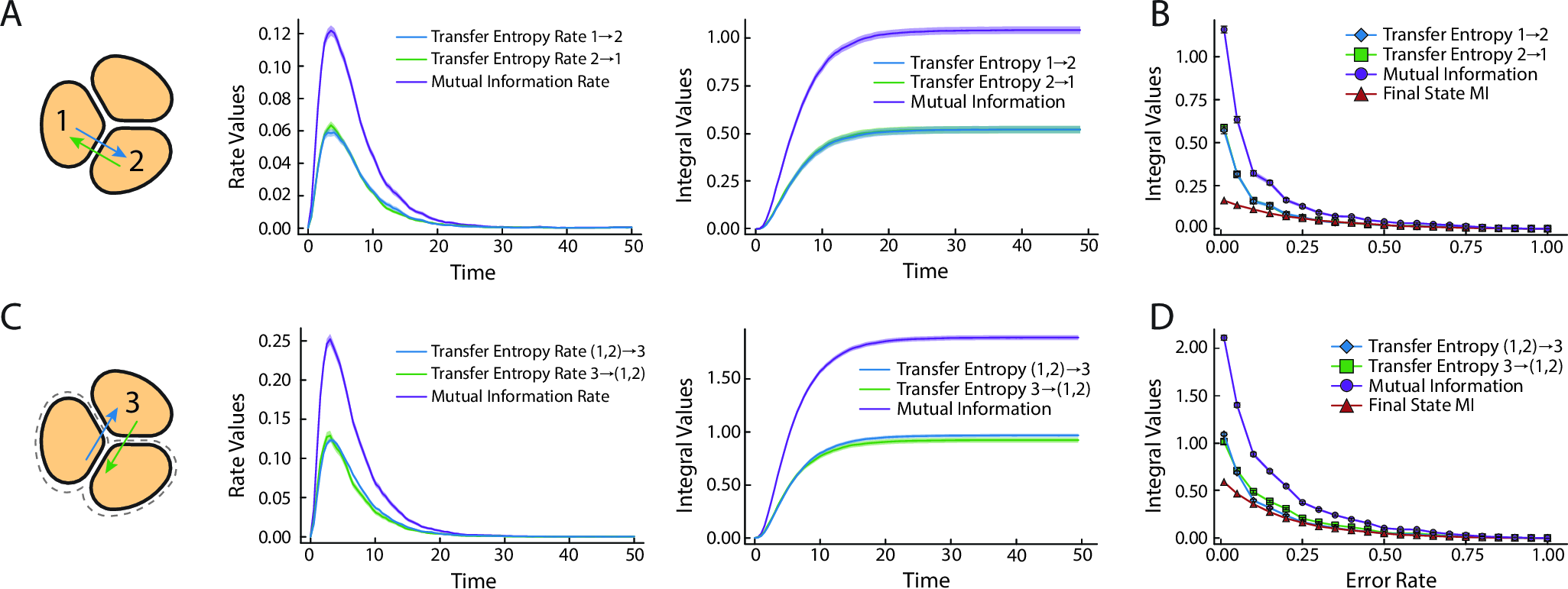 Figure 3: Quantifying information shared between cell trajectories finds a non-monotonic rate of information transfer as well as a greater amount of information shared between trajectories than final states alone. (A) For any pair of cells, we can compute the transfer entropy (TE) rates in both directions \dot{\mathcal{T}}^{u_1\to u_2}, \dot{\mathcal{T}}^{u_2\to u_1}, the mutual information (MI) rate \dot{I}= \dot{\mathcal{T}}^{u_1\to u_2} + \dot{\mathcal{T}}^{u_2\to u_1} (left), as well as the corresponding integrals (right), shown here for the optimized model with \epsilon = 0.02. (B) Total information transferred between any pair of cells for optimized models as the error rate is varied. Each value represents the limiting mutual information or transfer entropy for a given model at large time. Instantaneous mutual information shared between the final states of both cells is also shown. (C) Transfer entropy rates between cell 3 and the remaining cells, \dot{\mathcal{T}}^{u_3\to[u_1,u_2]}, the converse \dot{\mathcal{T}}^{[u_1,u_2]\to u_3}, as well as the mutual information rate (left) along with the corresponding integrals (right), shown here for the optimized model with \epsilon = 0.02. (D) Total transfer entropy from one cell to the remaining cells and the converse, as well as the mutual information for optimized models as the allowed error rate is varied. Instantaneous mutual information shared between the final state of cell 3 and the remaining cells is also shown. Throughout, each computation is averaged over n=10,000 Monte-Carlo samples and shaded regions show \pm 1.96\times standard error.