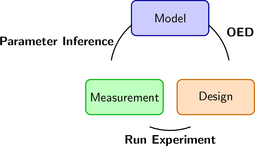 Figure 10: Greedy sequential optimal experimental design.