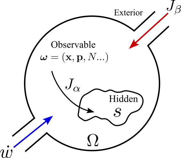 Figure 1: The system \Omega := \{(\boldsymbol{\omega}, s)\} is closed under internal irreversible processes J_\alpha, which involve information loss into the subspace of hidden DoFs represented by the thermodynamic entropy s. The system becomes open when subject to external fluxes, exchanging energy and entropy via work \dot{w} and additional irreversible processes J_\beta.