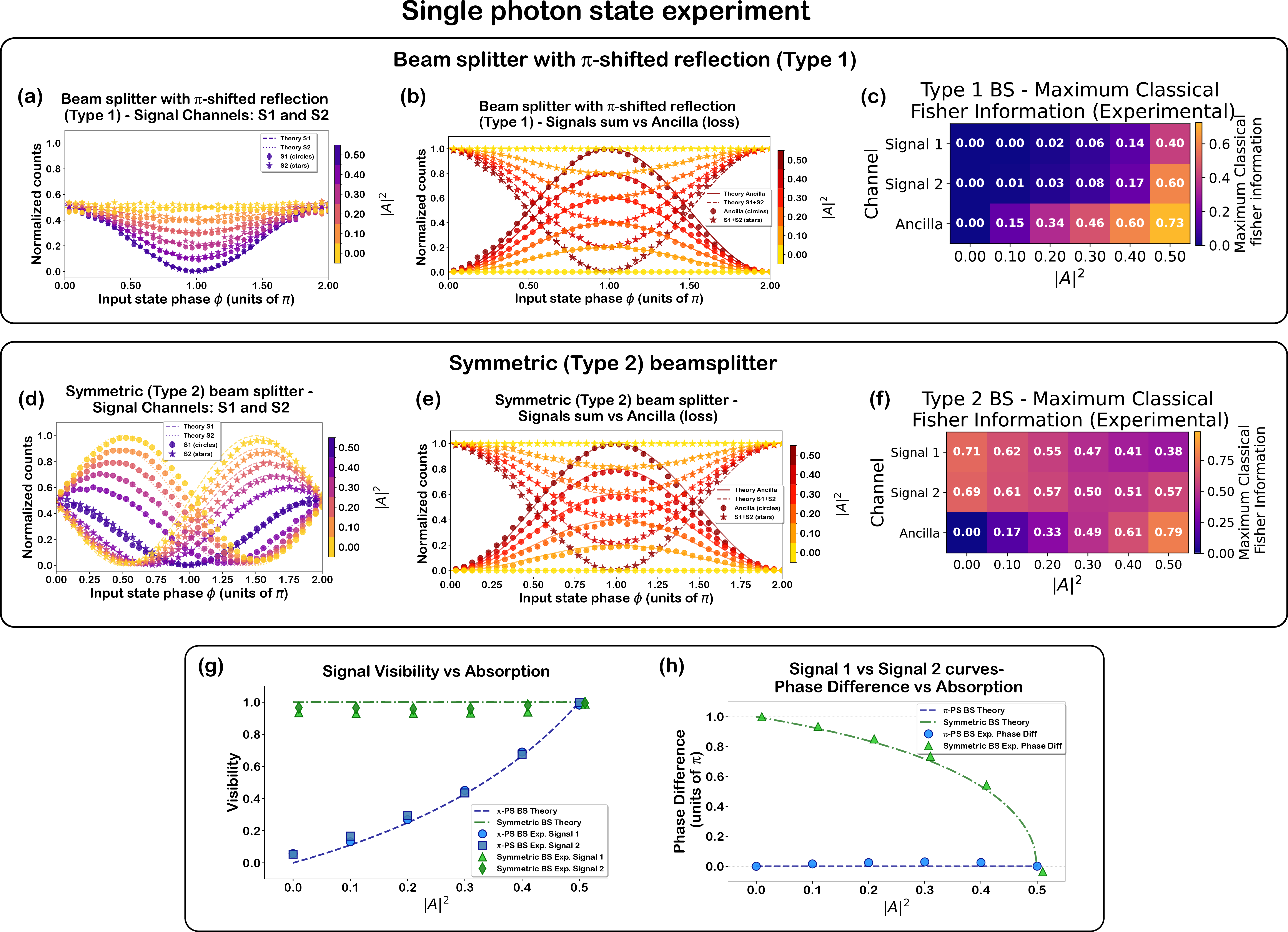 Figure 3: Single-photon state experiment results. (a–c) Normalized counts measured at signal (S1, S2) and ancilla (Anc) ports as functions of input phase \phi, with the intrinsic absorption coefficient |A|^2 represented by the colour scale, for Type 1 (\phi_{rt} = \pi) beam splitter. Panels show: (a) individual signal ports; (b) Signals sum (S1+S2) vs. Anc; (c) corresponding Fisher information per output mode for different absorption settings (See Eq. 6 ). (d–f) Same as above for Type 2 symmetric beam splitter (|t| = |r|), with (d) signal outputs; (e) Signals sum vs. Anc; (f) Fisher information. Each data point corresponds to coincidence counts between the circuit outputs and a heralding detector triggered by the twin photon from the SPDC source. All data for both beam splitter configurations are normalized by the total coincidences across all outputs and corrected for variations in detector efficiency and coupling efficiency of the chip’s output waveguides to the corresponding fibers. Error bars represent one standard deviation, calculated as \sqrt{N} from Poisson counting statistics, with proper propagation through the normalization procedure. (g) Phase-dependent visibility of signal outputs vs. absorption; (h) relative phase shift between S1 and S2 intensities. The lines denote theoretical predictions; symbols are experimental data. The theoretical data are obtained by applying the CPA unitary transformation matrix S_\text{total} to the input state vector and computing output intensities.