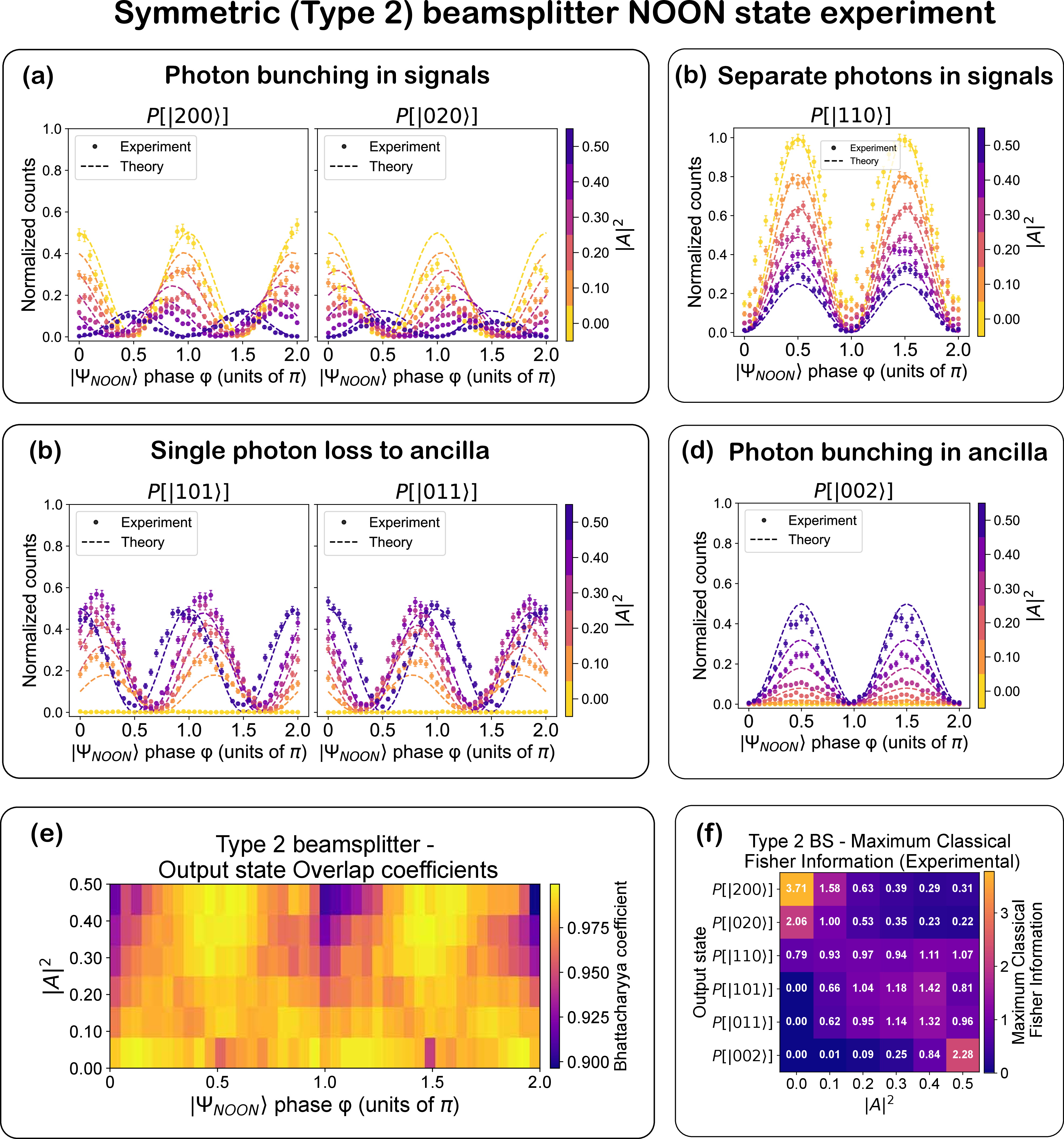 Figure 5: Symmetric beam splitter (Type 2) – NOON state experiment. (a–d) Experimentally measured and normalized counts, and theoretically predicted probabilities for various output Fock states, plotted as a function of input state phase \phi, with |A|^2 represented by the colour scale. Probabilities are normalized to the total coincidence counts across all output states and corrected for variations in detector efficiency and coupling efficiency of the chip’s output waveguides to the corresponding fibers. The lines denote theoretical predictions; symbols are experimental data. The theoretical data are obtained by applying the CPA unitary transformation matrix S_\text{total} to the input state vector and computing output intensities. Error bars represent one standard deviation, calculated as \sqrt{N} from Poisson counting statistics, with proper propagation through the normalization procedure. (e) Bhattacharyya overlap coefficients between experiment and theory across \phi and |A|^2, evaluated in the Fock basis, demonstrating high-accuracy implementation of the beam splitter transformations. (f) Maximum classical Fisher information extracted for each output Fock state at different |A|^2 values (See Eq. 6 ).
