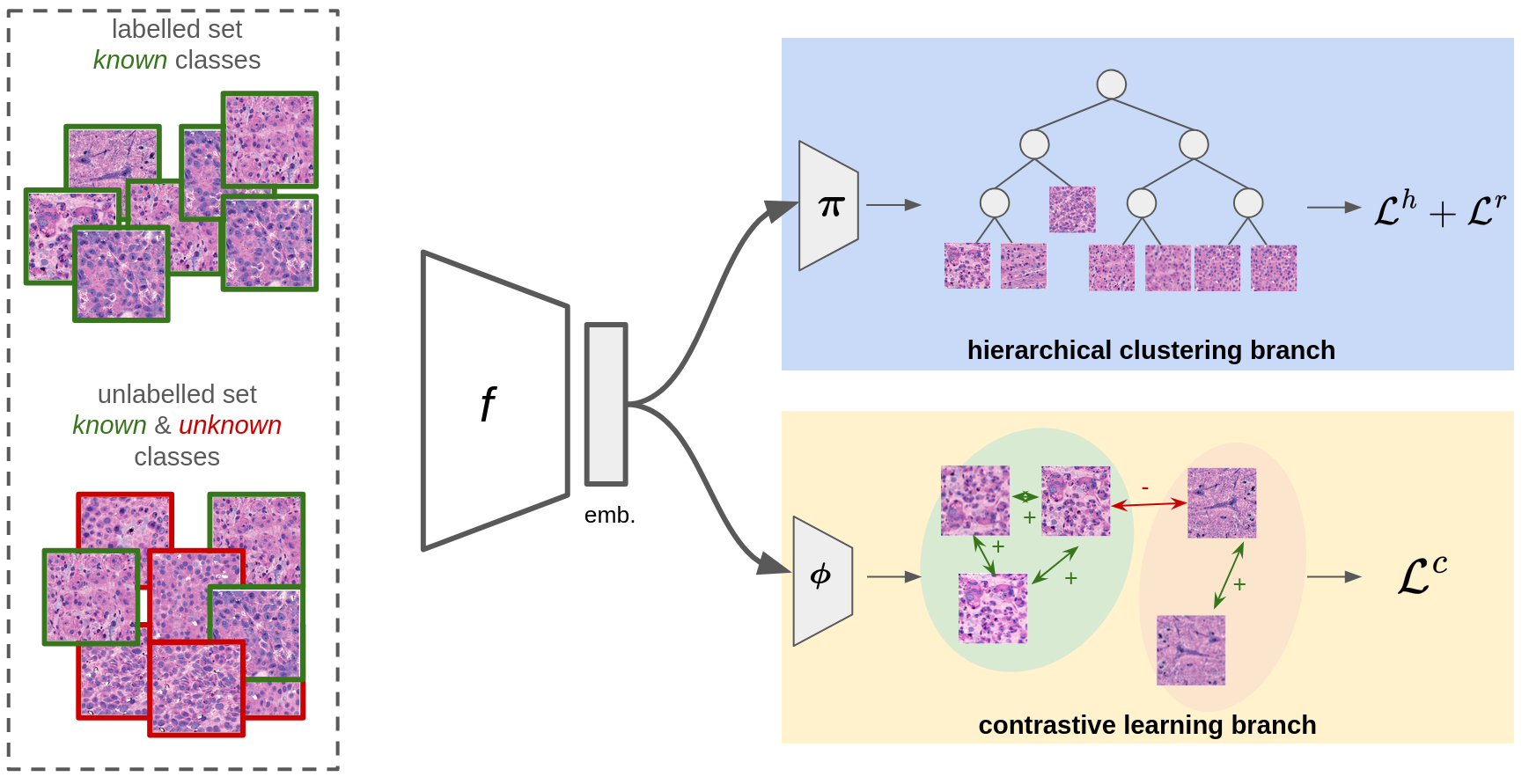Figure 1: Overview of our proposed method HCGD-BT consisting of a hierarchical clustering branch and a contrastive learning branch.