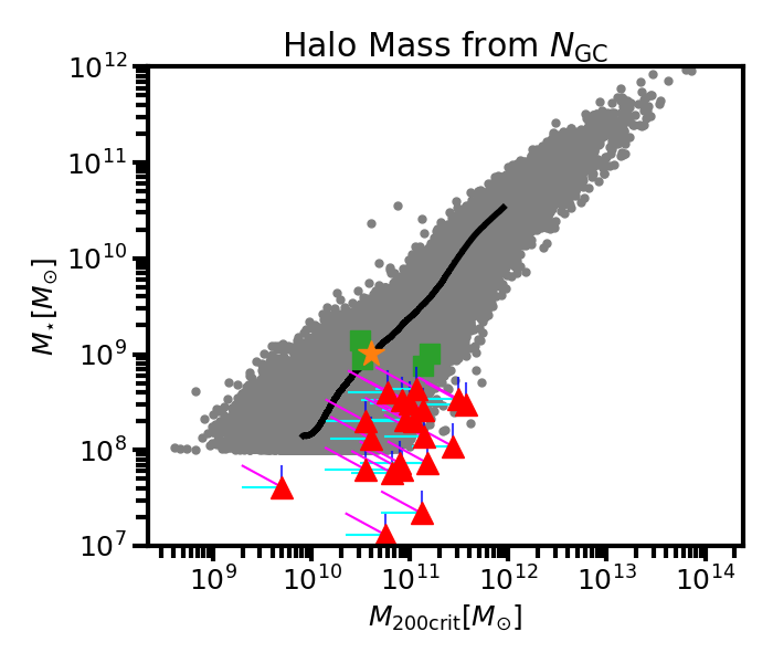 Figure 1: The z=2 stellar mass–halo mass relationship. Grey points are individual galaxies in the MAGNETICUM simulation at z=2, with the black line their 5000-point running median. Green squares are individual data points from the study of z=2 Ly\alpha emitters by [33] with the orange star their weighted-average. MAGNETICUM is accurately reproducing these observations. Red triangles are UDG observations at z\approx​0. UDG halo masses (M_{\rm200crit}) are estimated from their GC counts. Cyan lines correspond to the expected factor of 2.5 mass growth due to the pseudo-evolution in dark matter halos between z=2 and z=0. Blue lines correspond to 40% stellar mass loss of a passively evolving system between z=2 and z=0. Magenta lines are the combination of both effects with one end tracing the expected position of the z=0 UDGs if traced back to z=2. UDG halo mass estimates at z=0 are consistent with galaxies at z=2 in the MAGNETICUM simulations that have evolved passively since this redshift.