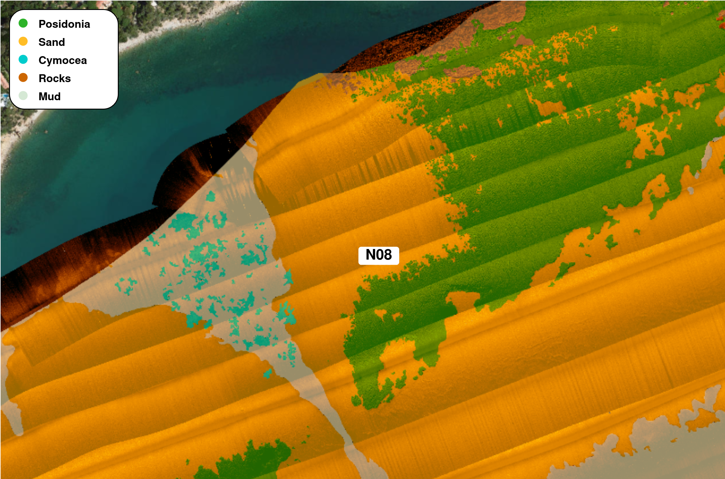 Figure 3: Illustrative example of a portion of an SSS mosaic from sector N08 overlaid with the corresponding benthic habitat interpretation. The basemap was provided via Esri ArcGIS using OpenStreetMap data. For more information, visit https://www.arcgis.com/home/item.html?id=b834a68d7a484c5fb473d4ba90d35e71 (last access: 15 July 2026).