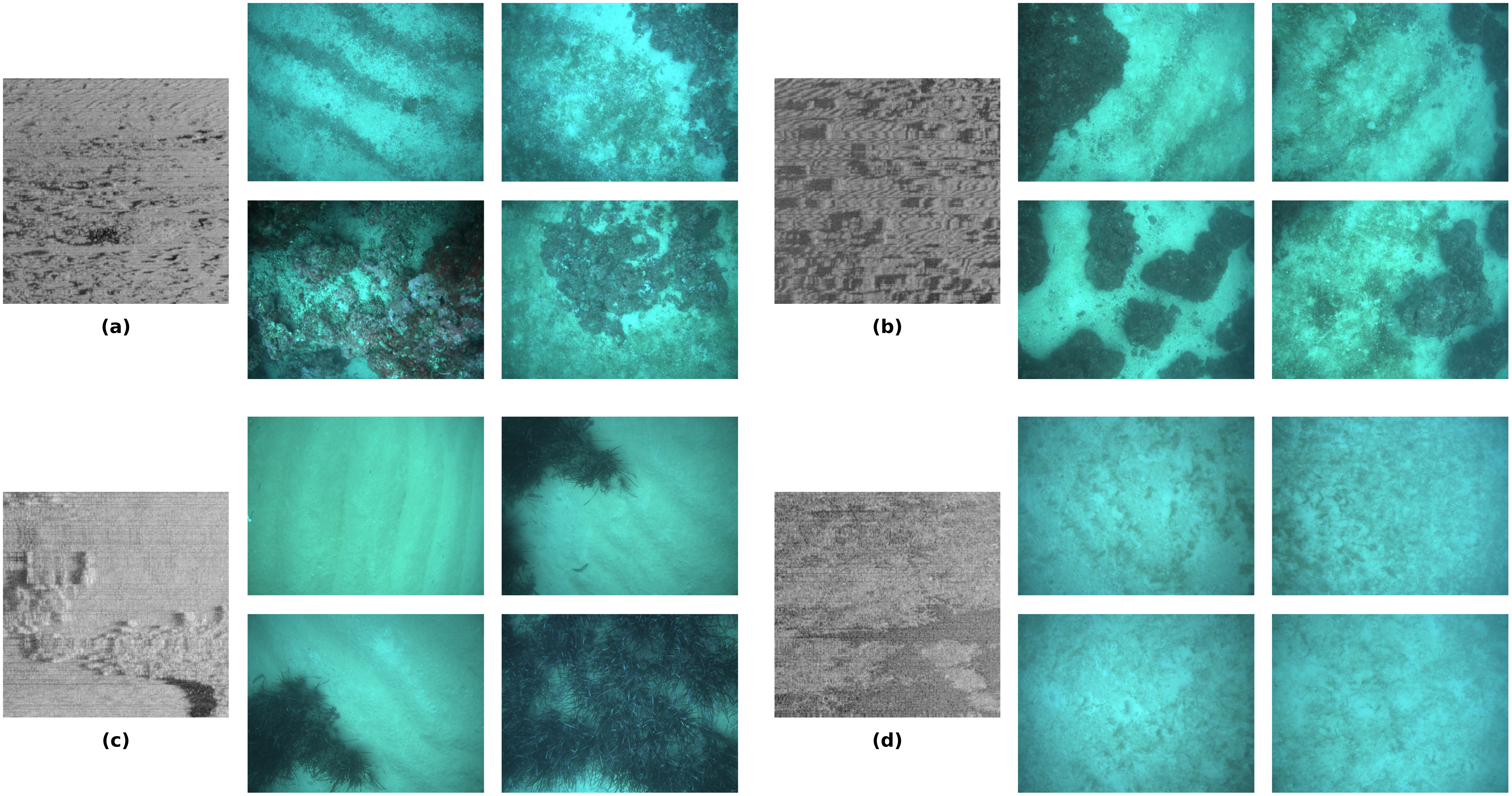 Figure 8: Examples of SSS tiles from sectors N07 and N08, alongside a subset of their corresponding matched optical images.