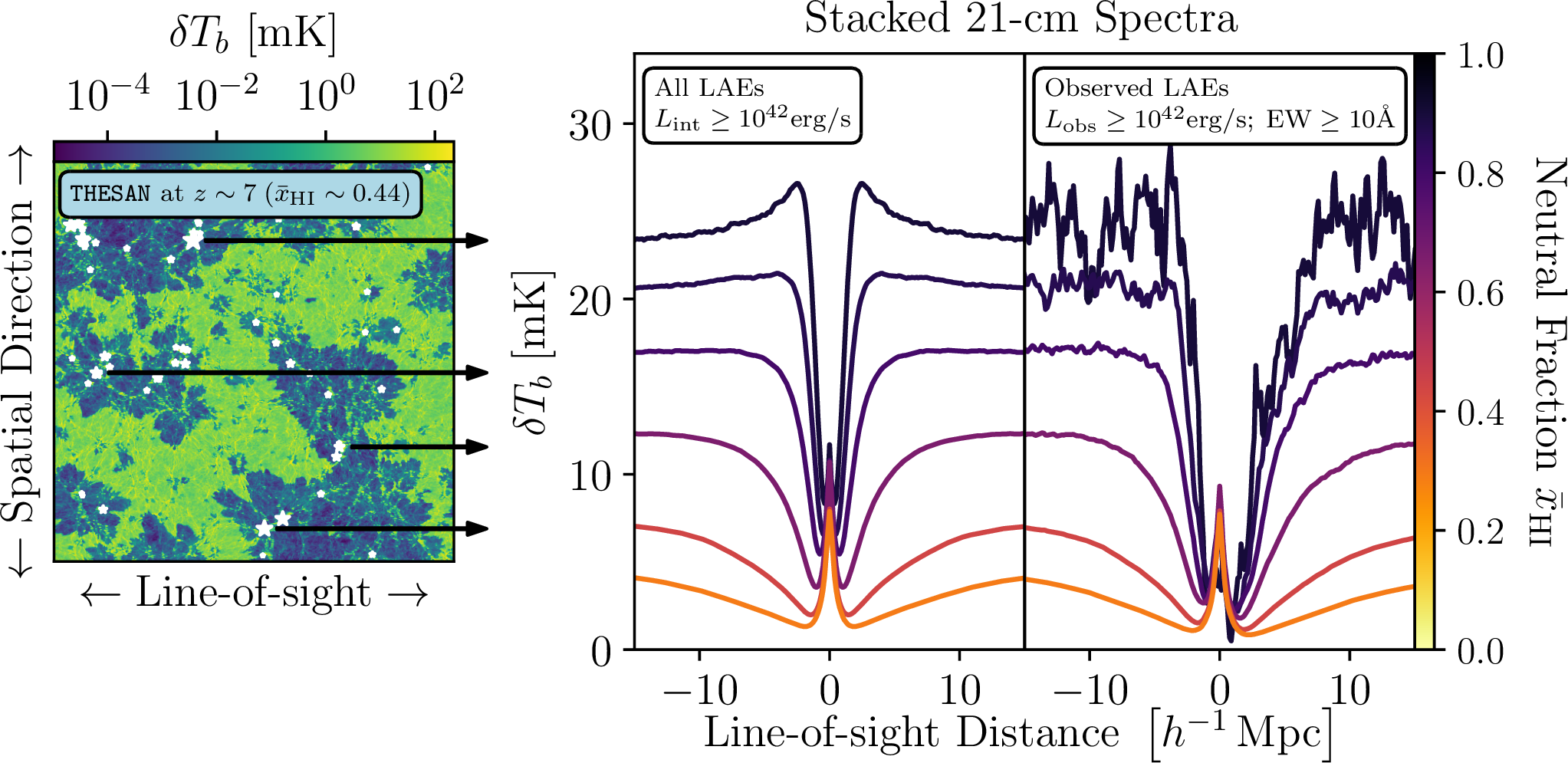Figure 3: Left: Snapshot of 21-cm brightness temperature from thesan at redshift 7 with LAEs marked in white stars. We draw 21-cm spectra along the line of sight from each LAE to form a template for the stacked 21-cm signal. Right: Stacked 21-cm spectra around LAEs that are intrinsically bright (left) and can be observed by a fiducial ground-based spectroscopy survey (right). Different curves mimic a different reionization history which predicts a different global neutral fraction at redshift z\sim 7.