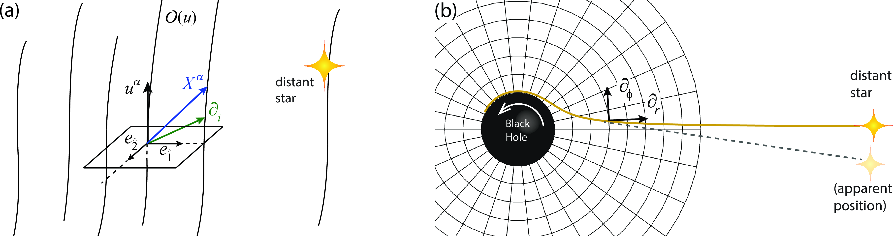 Figure 1: An astronomically meaningful reference frame: coordinate system adapted to a shearfree congruence of observers \mathcal{O}(u) with asymptotically vanishing acceleration and vorticity. (a) Connecting vectors (X^{\alpha} and \partial_{i}) have fixed direction in the orthonormal triad \{{\boldsymbol{e}}_{\hat{\imath}}\}, yielding a grid of points everywhere at fixed directions with respect to each other, and anchored to inertial frames at infinity. (b) 3D space representation of such a grid. In the special case of conformally stationary spacetimes (e.g. the Kerr metric) this materializes in that light rays from remote sources arrive at fixed directions in such a frame.