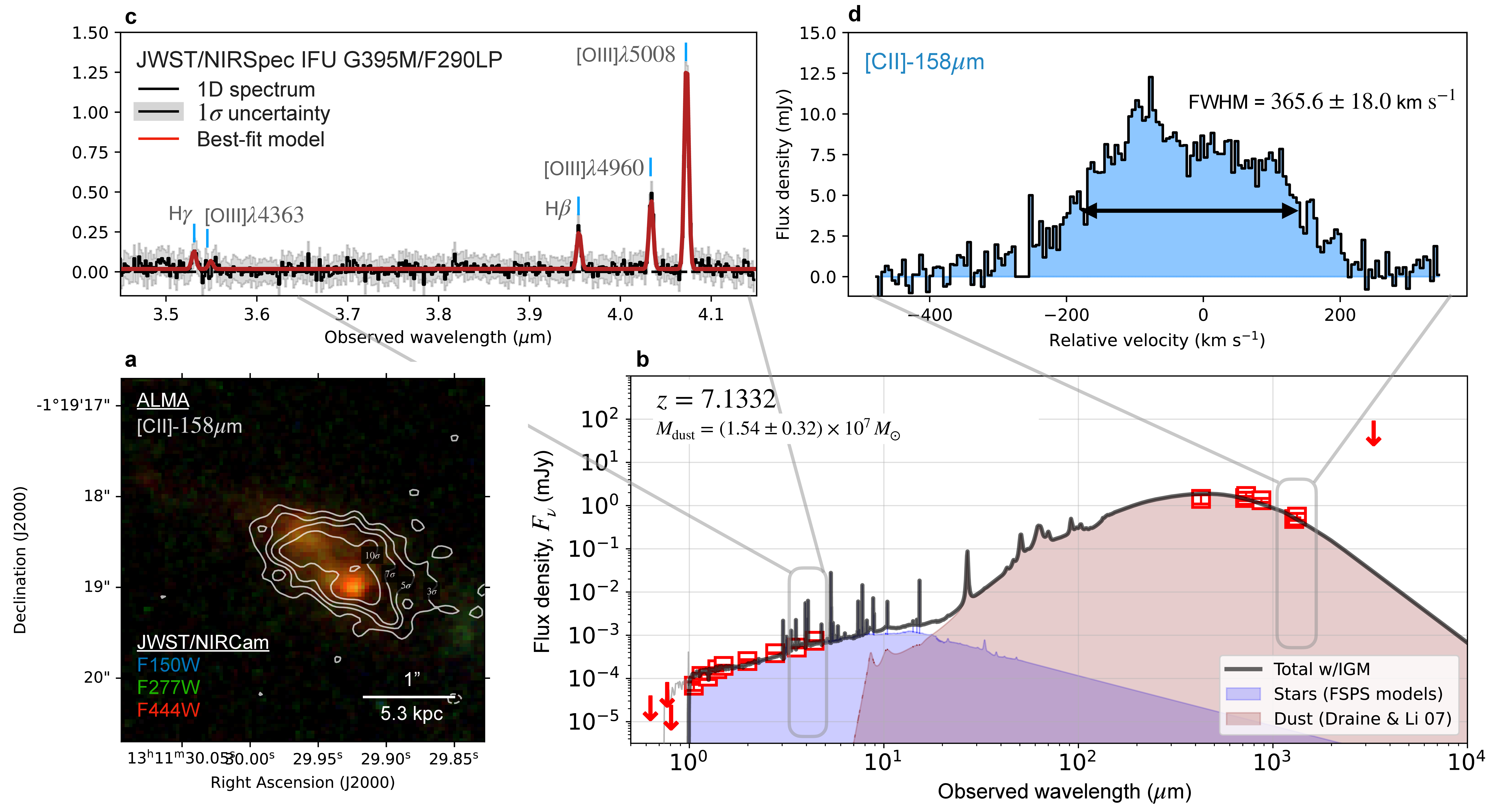 Figure 1: Overview of the JWST and ALMA imaging and spectroscopic data of A1689-zD1. Panel (a): False-color JWST/NIRCam RGB image cutout (blue: F150W; green: F277W; red: F444W), overlaid with [C ii]-158\mum emission contours showing 3,5,7,10\sigma (white solid lines). A scalebar is shown in the image plane. Panel (b): Panchromatic SED modeling of the photometric data of A1689-zD1, fixed to z_{\rm[CII]}=7.1332. The derived dust mass corrected for magnification is indicated. Panel (c): Extracted JWST/NIRSpec 1D spectrum (black) and associated 1\sigma error spectrum (grey). The best-fit Gaussian models of the most prominent nebular emission lines are shown in red. Panel (d): Extracted ALMA 1D spectrum centered on the [C ii]-158\mum transition in velocity space (zero-point velocity set to z_{\rm[CII]}=7.1332). The measured line FWHM is indicated.
