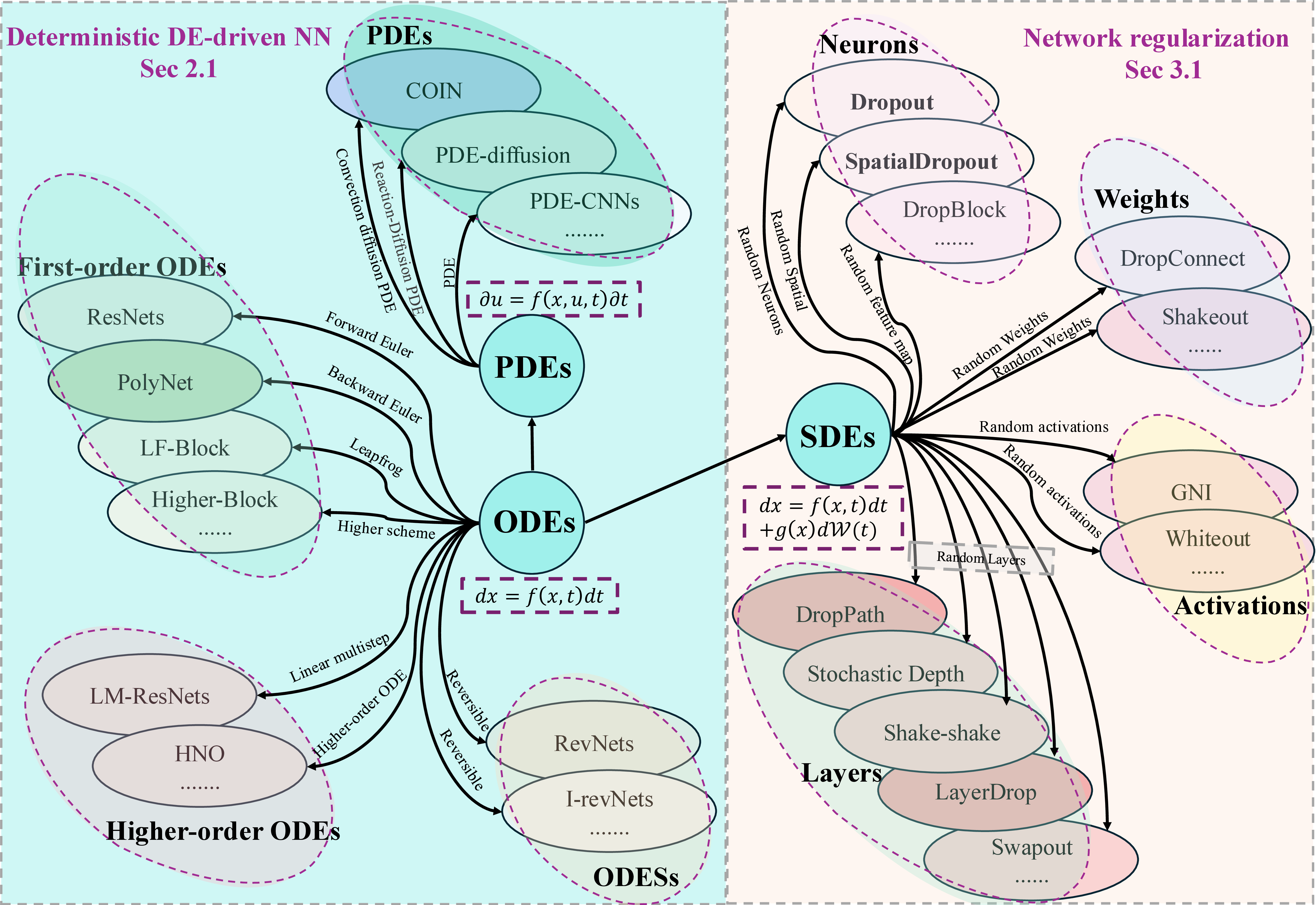 Figure 1: Overview of deterministic DE-driven neural network architectures (left, Sec.2.1) and stochastic regularization methods inspired by SDEs (right, Sec.3.1).