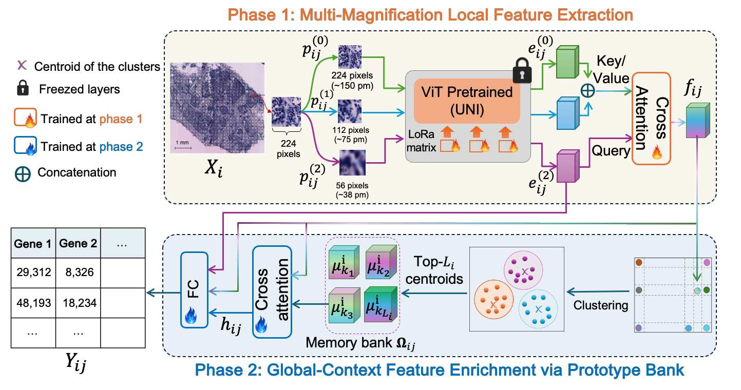 Figure 1: Overview of the proposed framework, comprising two main phases: (1) Local feature extraction, and (2) global context-aware feature enrichment.