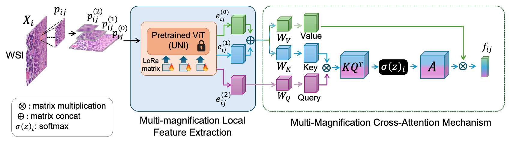 Figure 2: Patch-level feature extraction with Multi-magnification enhancement.