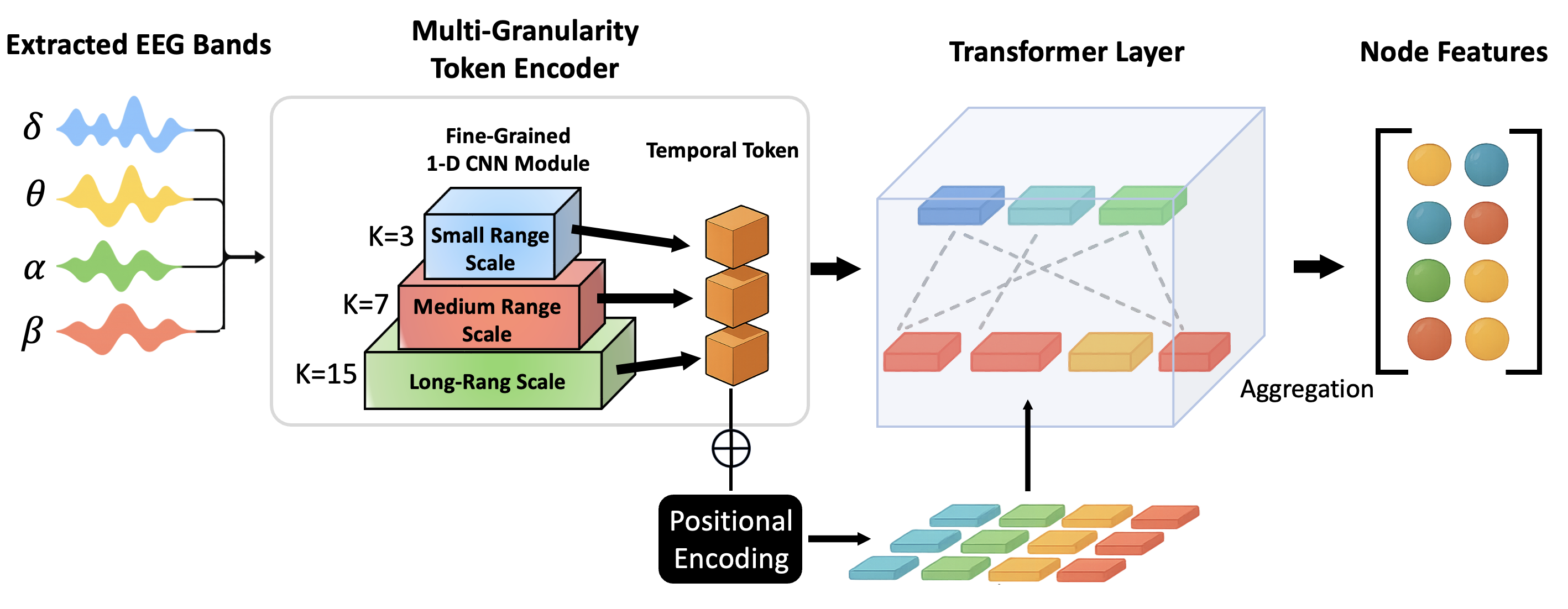 Figure 1: Diagram of MGT-NFE for node feature extraction, incorporating multi-granularity hierarchical feature extraction and spatial positional encoding at different granularities.