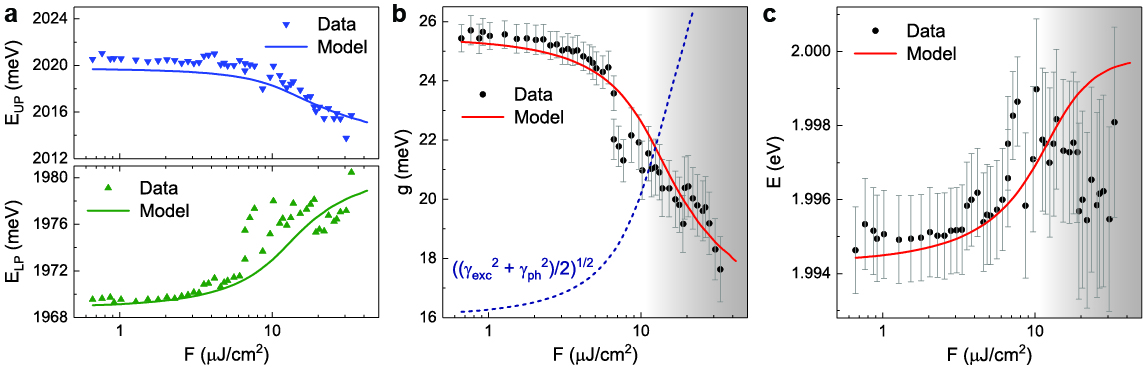 Figure 4: Power-dependent parameters of guided exciton-polaritons in hBN/WS_2/hBN. (a) Extracted from measurements (symbols) upper (top panel) and lower (bottom panel) polariton energies as functions of pump fluence, together with corresponding modeling results (curves). (b) Extracted from measurements light–matter coupling strength as a function of pump fluence (dots), together with corresponding modeling results (red solid curve) and effective relaxation rate for evaluating the strong light–matter coupling regime condition (blue dashed curve). (c) Extracted from measurements exciton energy as a function of pump fluence (dots), together with corresponding modeling results (curve).
