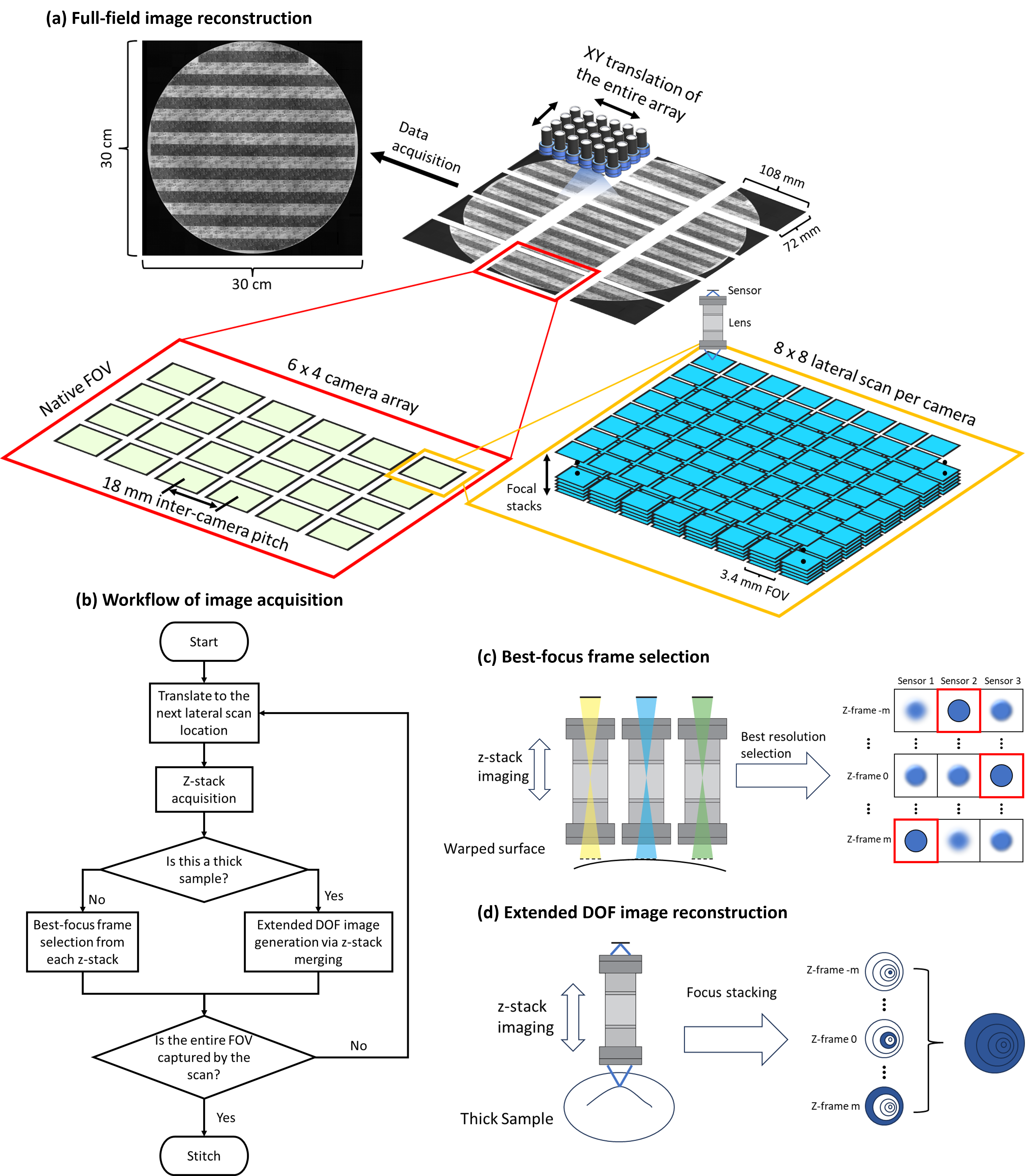 Figure 2: Diagrams of epi-MCAM image acquisition. (a) Illustration of the data acquisition process for reconstructing an image that exceeds the native FOV (108\times​72 \mathrm{mm}^2) of a single imaging cycle. The sample shown here covers an FOV of 30\times​30 \mathrm{cm}^2. (b) Description of the scanning workflow for acquiring a full-field image for both flat and thick samples. (c) Diagram of selecting the best-focused image from each z-stack for flat sample imaging with a wrapped surface. The blue regions indicate the in-focus areas. (d) Diagram of merging images in a z-stack to generate an extended depth-of-field (eDOF) image for thick sample imaging.