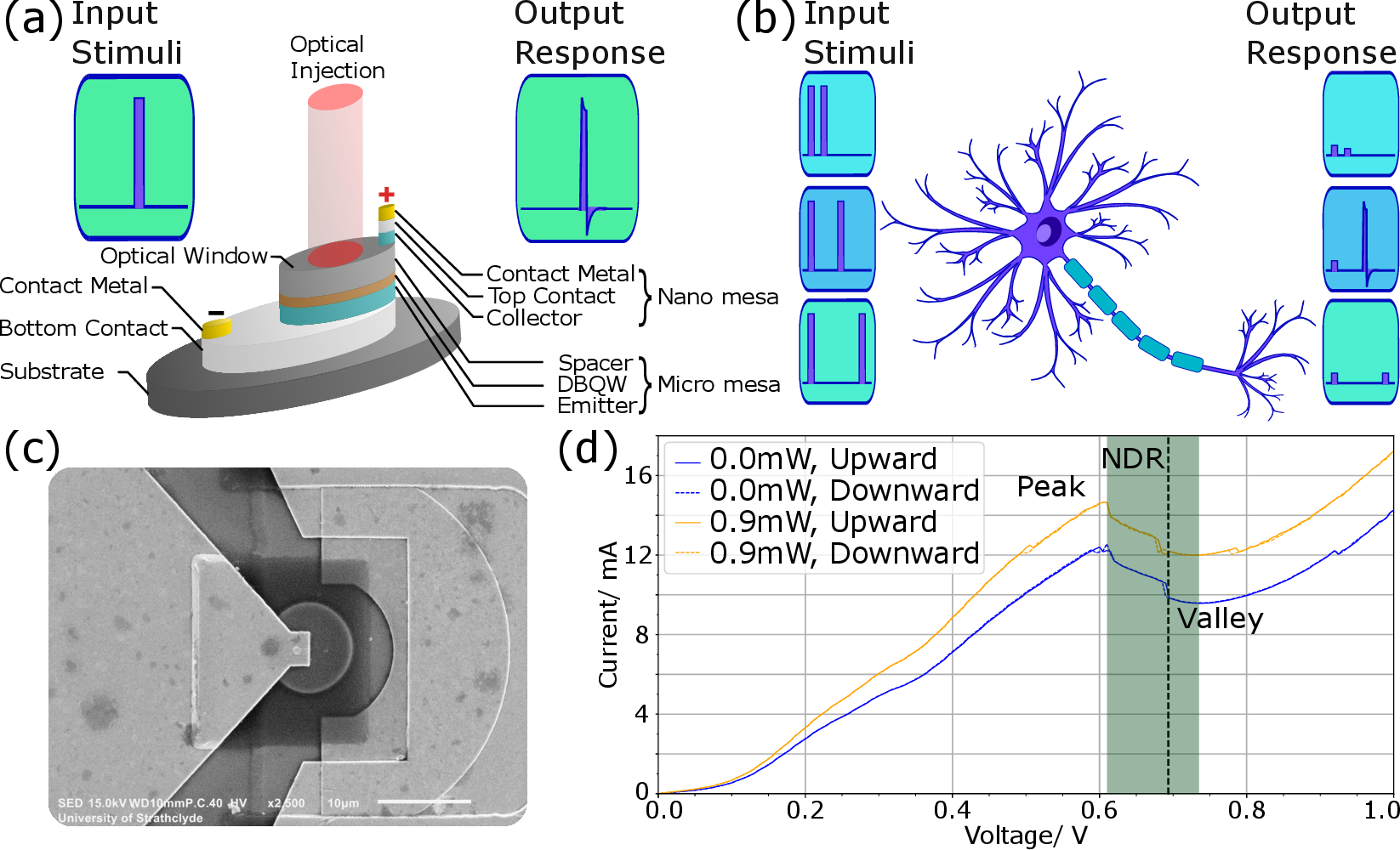 Figure 1: a) Optically-sensitive RTD neuron displaying excitable spike firing in response to input light stimuli. b) Schematic diagram of a biological neuron exhibiting resonate-and-fire spiking responses. c) SEM image of the light-sensitive RTD of this work. d) Experimentally-measured I-V curve of the RTD neuron when operated in dark conditions (0 mW) and under infrared illumination of CW light at 1550 nm with optical power of 0.9 mW. The NDR region of the RTD is shaded in green and the black dashed line marks a typical biasing point in the valley region.
