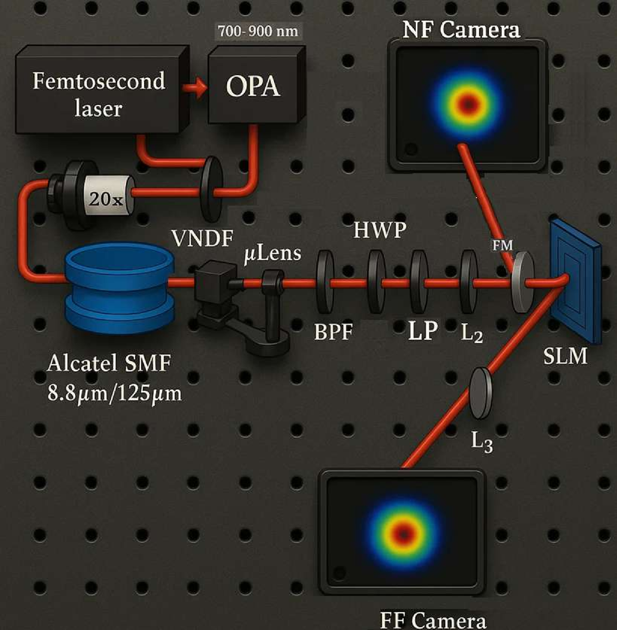 Figure 1: A schematic of the experimental setup. VNDF: Variable neutral density filter; L1-L3: Lens; BPF: Bandpass filter; HWP: half-wave plate; LP: Linear polarizer; FM: Flip mirror; NF \& FF camera: Near and Far field camera; SLM: Spatial light modulator.