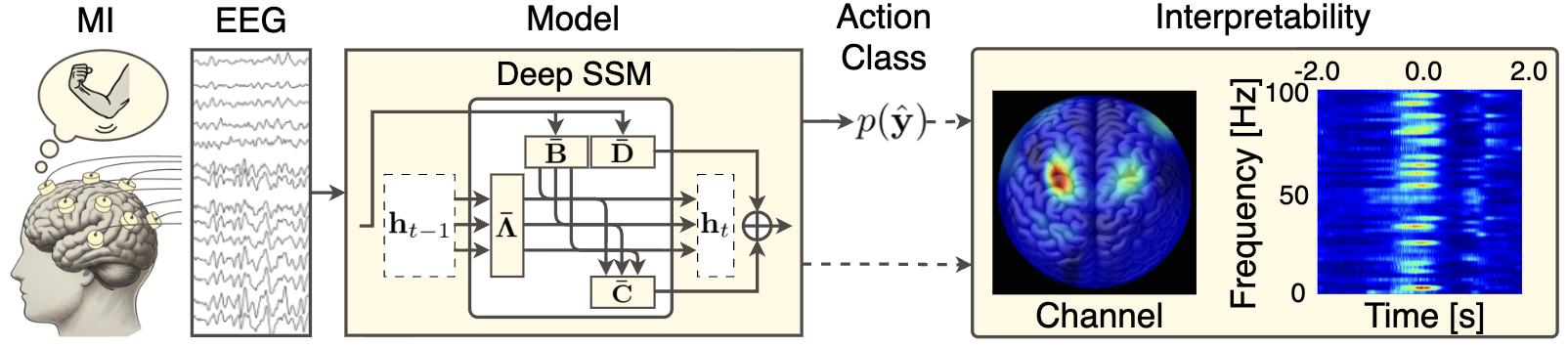Figure 1: Task overview. The input is EEG signals recorded while the subject imagines actions (e.g., elbow extension), and the model’s output is predictions of the corresponding actions. The model also provides interpretable spatio-temporal and temporal-frequency visualizations.