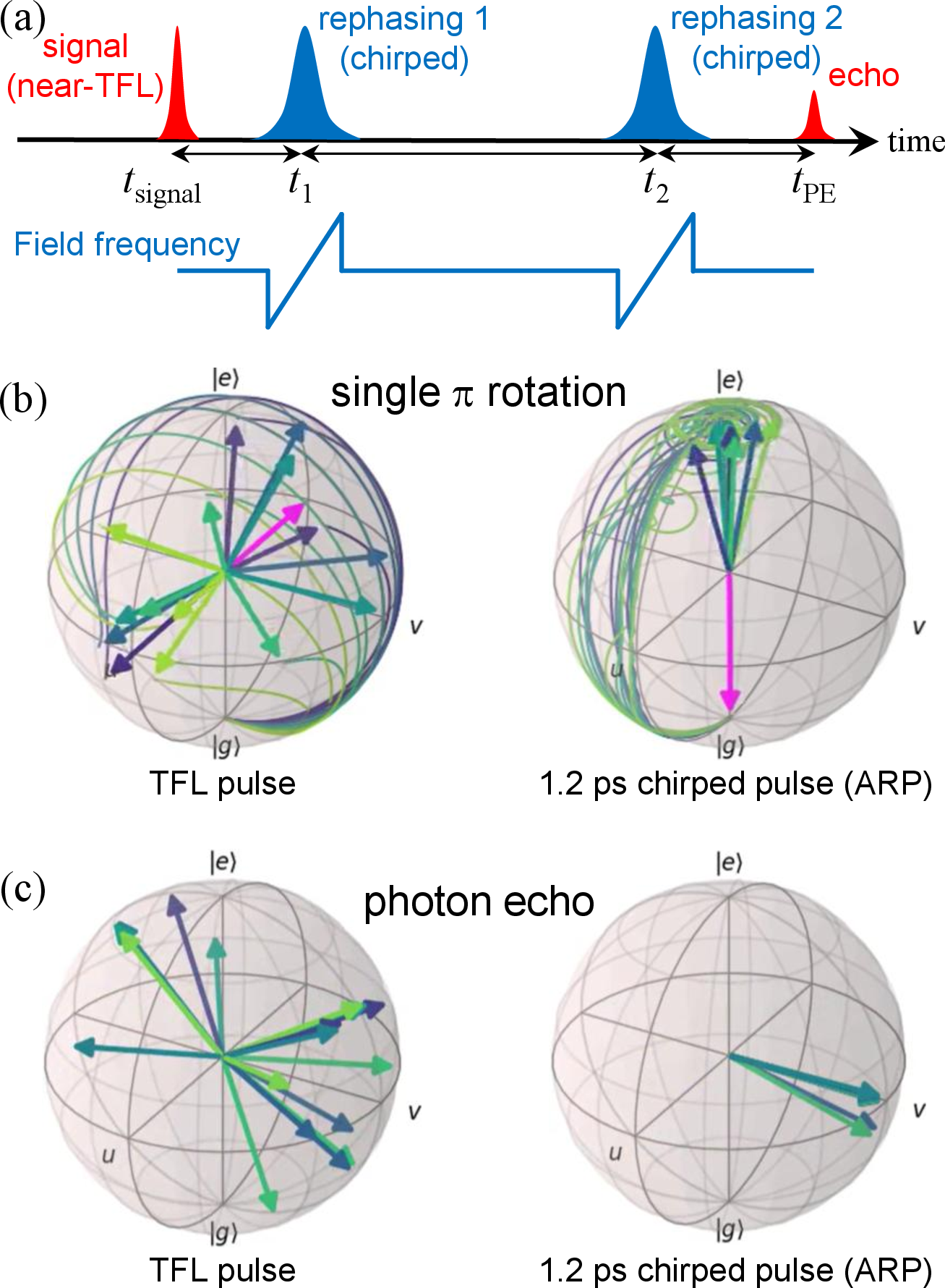 Figure 1: (a) PE pulse sequence of our setup. We applied double rephasing pulses (rephasing 1 and 2). Blue line represents the change in frequency of the rephasing pulses. (b) Comparison of final Bloch vector states in population inversion for single TFL and 1.2 ps chirped pulse (ARP) excitation. The magenta arrows represent the final positions of the torque vectors, while the solid lines trace the trajectories of the Bloch vectors. (c) Comparison of final Bloch vector states in PE for TFL and ARP rephasings, starting from the superposition state (v in this figure) as the initial condition.