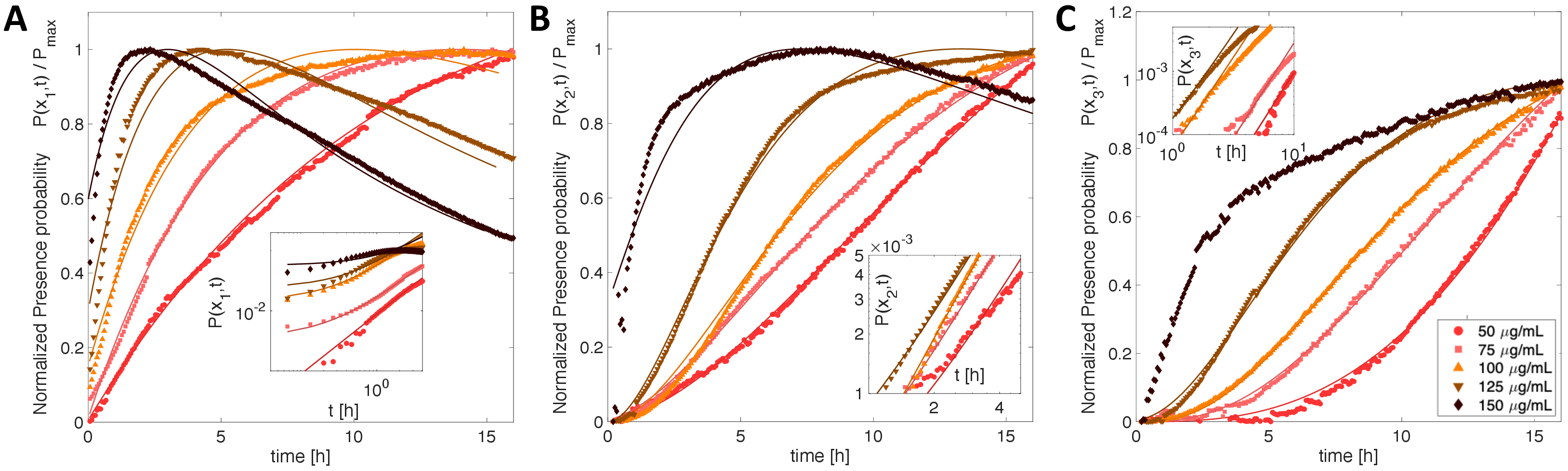 Figure 4: Selection of normalized probabilities P(t)/P_{max} curves for first (A) second (B) and (C) third neighbors. Different colors denote different \alphaHL monomer concentrations c_m (see legend on panel C). Solid lines are the best fits using Eq(4 ). Insets: log-log plot of the presence probability P(t). Solid lines are polynomial fits at short times, using respectively (A) P\sim \lambda (t-t_0) , (B) P\sim (\lambda (t-t_0))^2 and (C) P\sim (\lambda (t-t_0))^3.