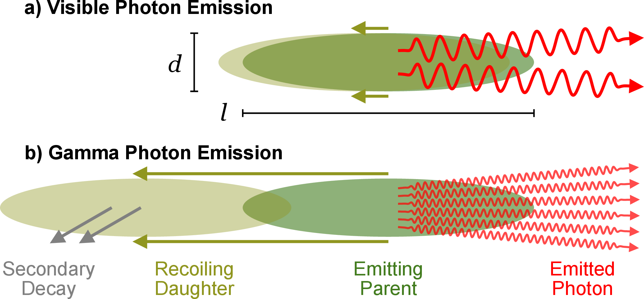 Figure 1: Superradiant “laserlike” emission of light has been observed from sodium BEC after laser excitation (a)[13]. Recently, it has been suggested that radioactive BEC can be used to realize gamma ray [10] and neutrino lasers [11] at MeV energies (b). Although superradiance of visible emission and gamma ray radiation are formally identical, the wavelength of MeV gamma rays is 10^6 times shorter. As a result, many more photon modes (red) are populated, and the daughter atoms (olive) recoils faster and lose overlap with the parent atoms (blue) much sooner. In addition, the daughter atoms can be unstable and undergo secondary decays (gray), limiting the coherence time further.