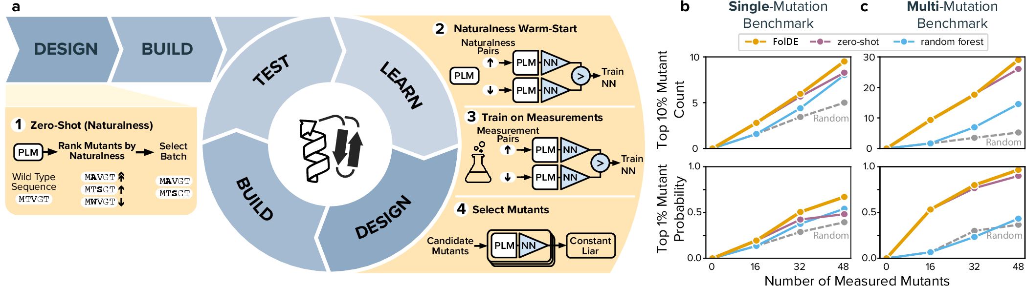 Figure 1: The FolDE Workflow (a) schematic of the FolDE workflow, starting with the zero-shot prediction before data has been collected, followed by few-shot prediction and Bayesian batch building, in a design-build-test-learn cycle. (b) Performance on the single-mutation and (c) multi-mutation benchmark for FolDE vs three baselines: random selection, zero-shot naturalness-based selection, and a random forest with embeddings (representing EVOLVEpro, [4]). Metrics shown are the cumulative top 10% mutants discovered (top) and probability of finding a top 1% mutant (bottom).