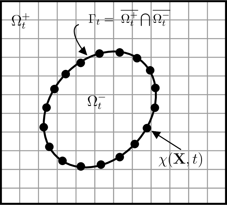 Figure 1: A Lagrangian coordinate system represents represents the interface, \Gamma_t. At time t, the position of the interface in Eulerian coordinates is \boldsymbol{\chi}(\mathbf{X},t).