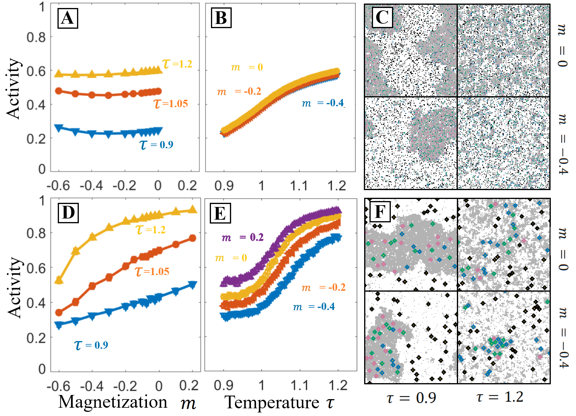 Figure 4: PPIs with large components are also sensitive to the composition parameter parallel to the tie-lines. In the Ising model, this is parameterized by magnetization, m, which previous figures take to be zero (equal area of bright and dark phases below T_c). Here we explore varying m for systems with small components (r=0, A-C) and larger components (r=3 D-F), for the interaction network depicted in figure 1B. A,B: Activity as a function of m for three values of temperature and activity as a function of temperature for three values of m. When components are small results do not depend strongly on m, though they do depend on temperature. C: configurations at two values of m and \tau. At negative m, \tau<1 the system has less dark phase. Above the critical temperature, there are still fewer dark domains. D,E: Activity as a function of m and \tau for the same network with larger components, r=3. With these larger components the system is sensitive to both m and \tau near the critical temperature. F: At negative m, there is less dark phase similar to C, but the larger inclusions form higher contrast domains even above the critical temperature of the bare Ising model.
