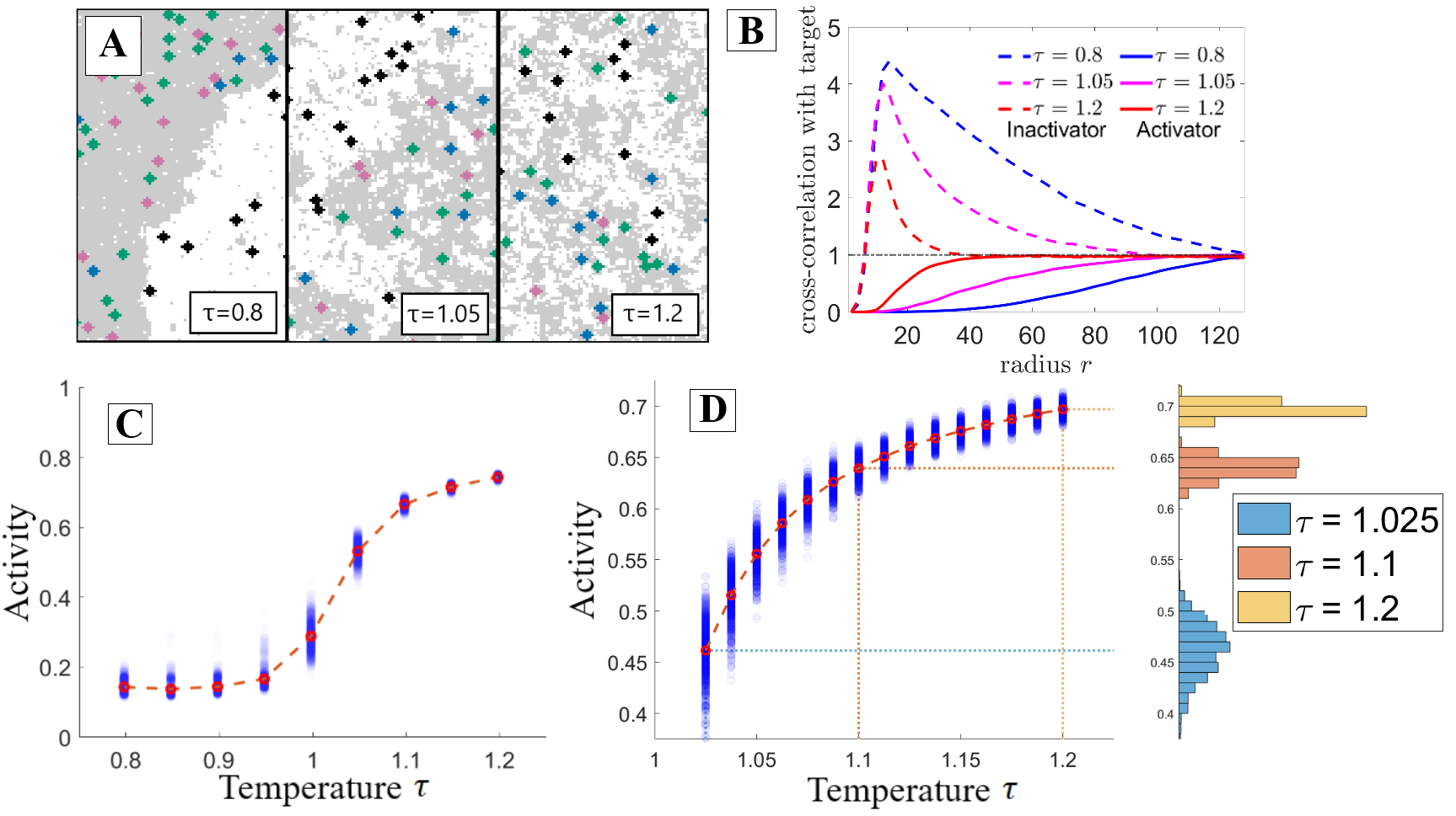 Figure 2: Interaction networks are highly sensitive to solvent properties near criticality. Results are from the interaction network depicted in figure 1B when carried out with Monte Carlo simulation. A: Configurations of the simulation at a range of rescaled temperatures. As temperature increases domains become smaller and the target is more likely to be found near its activator which prefers a different domain, thus increasing the activity. B: Radially-averaged cross-correlation functions between the activators and targets (solid lines) and between the inactivators and targets (dashed lines) for the three temperature values in part A. As temperature is increased, the activator is found closer to the target while the inactivator is found more distant. C: The target’s activity grows with rescaled temperature, most steeply near the critical point. D: Taking a closer look at the near-critical region of part C, the greatest increase in target activity occurs between \tau=1 and \tau=1.1. Binning the various simulation runs by activity clearly demonstrates the increased variance near the critical point.