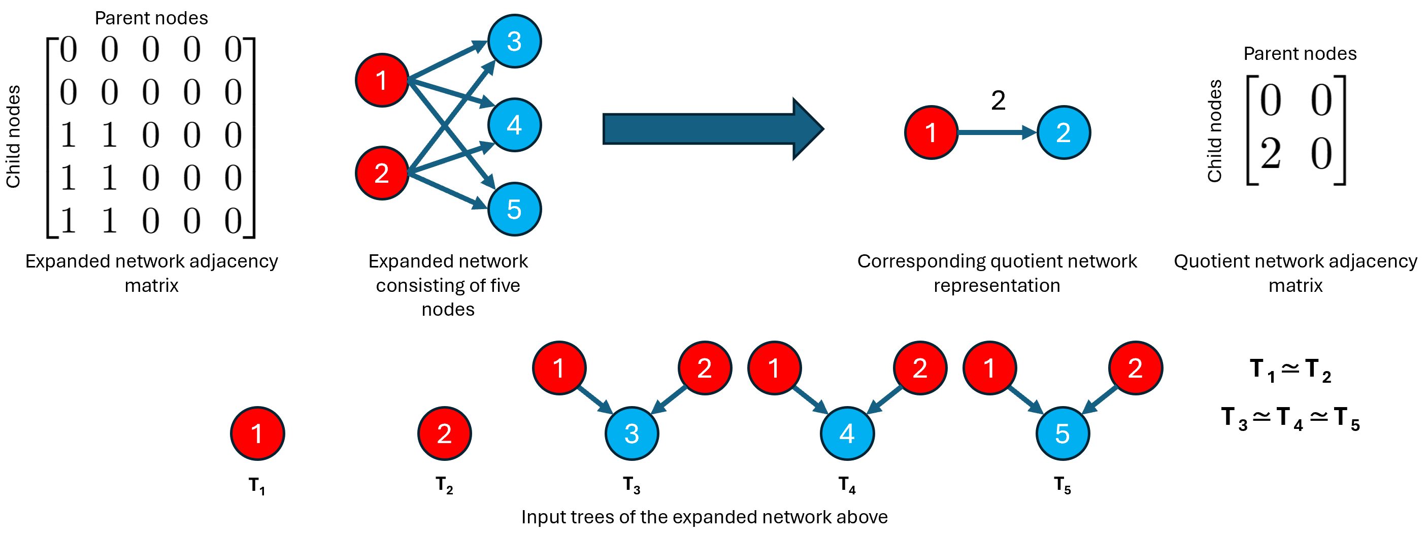 Figure 2: Example diagram of input tree representations of an expanded network which form clusters. The clusters enable the transformation of the expanded network into its quotient network.