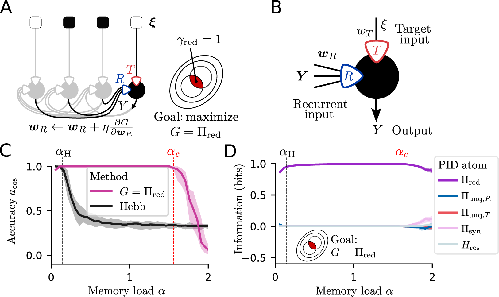 Figure 3: Redundancy maximization between recurrent connections and a target is a sufficient principle for memorization in Hopfield networks, achieving a memory capacity of \alpha_\mathrm{c}^{\red} \approx 1.59. A: Schematic of the infomorphic Hopfield model. During training of the infomorphic Hopfield network, the recurrent connections \boldsymbol{w}_R are updated using gradient ascent on the goal function G=\Pi_{\red}. B: Each neuron in the infomorphic Hopfield network aggregates its input into two compartments—the recurrent input R and the target input T. Based on this, they stochastically produce an output Y. C: Recall accuracy as a function of memory load \alpha for a network with 100 neurons. Redundancy maximization achieves a memory capacity of \alpha_\mathrm{c}^{\red} = 1.59 \;[1.56, 1.61], far exceeding the Hebbian capacity of \alpha_\mathrm{H} \approx 0.14 (capacities marked by dashed lines). D: The PID profile shows the mean information atoms per neuron as a function of memory load \alpha. Redundancy dominates below capacity \alpha <\alpha_\mathrm{c}^{\red}, then falls off as the capacity is crossed and the other atoms become non-zero. In C, the curve shows the median calculated across 20 network initializations. In D, values are first averaged across all neurons, and the curve then shows the median of these averages across the initializations. For both panels, the shaded area represents the central 90 \% of the data, spanning the 5th to the 95th percentile.