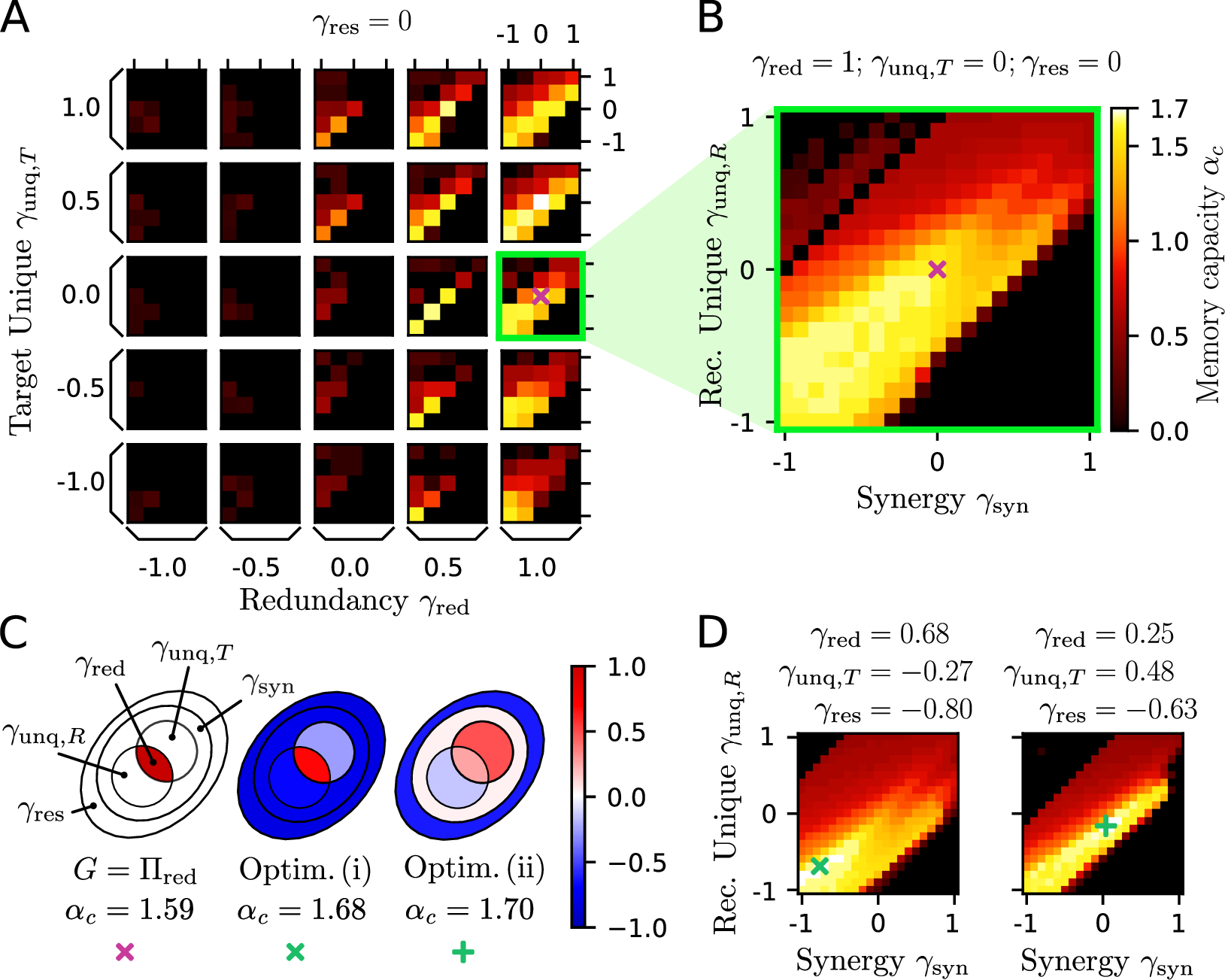 Figure 5: Hyperparameter optimization reveals composite information goals which outperform redundancy maximization. A: The memory capacity landscape \alpha_{c} as a function of the goal parameters \gamma_i reveals the performance across large parts of the parameter space. The goal parameters for redundancy \gamma_{\red} and target unique information \gamma_{\unq,T} vary on the outer axes, while the goal parameters for synergy \gamma_{\syn} and recurrent unique information \gamma_{\unq,R} vary on the inner axes. The remaining goal parameter for residual entropy \gamma_{\res} is fixed at 0. B: A more detailed subspace of A reveals the area around the heuristic goal. Here, \gamma_{\unq,T} = 0 and \gamma_{\red} = 1 while \gamma_{\unq,R} and \gamma_{\syn} are varied. Suppressing both \Pi_{\unq,R} and \Pi_{\syn} slightly improves the capacity above redundancy maximization. C: A direct optimization of the capacity on the full goal space reveals new goals. The heuristic redundancy goal as well as two of the best performing goals are illustrated. The optimized goals reach a memory capacity of \alpha^\mathrm{(i)}_\mathrm{c} = 1.68 \;[1.65, 1.72] and \alpha^\mathrm{(ii)}_\mathrm{c} = 1.7 \;[1.66,1.71]. The exact goal parameters and the results of the optimizations are listed in [app:Optimizationresults]. D: As in B, the panel shows two slices of the landscape around the optimized goals. The landscapes show a similar structure with distinct local optima.