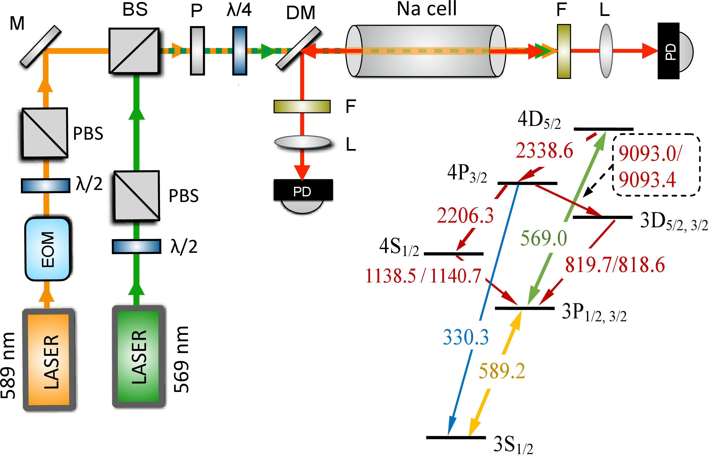 Figure 1: Schematic top view of the experimental setup on the left. EOM: Electro-optic modulator driven at 1.713 GHz, PBS: Polarizing beam spliterr, BS: Non-polarizing beam splitter, M: Mirror, P: Polarizer, DM: Dichroic mirror, F: Infrared Filter, L: Lens, PD: Photodetector. Relevant Na energy levels and transitions are presented on the right.