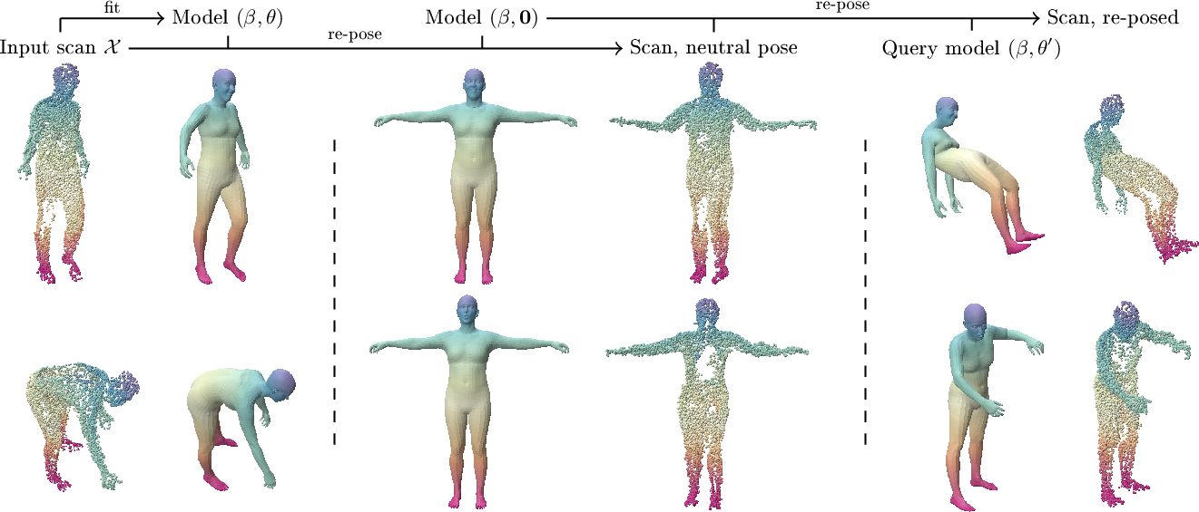 Figure 11: Results for human-scan fitting and skinning. Input scans identities are preserved in the edited poses (see preserved scan defects on right leg, back and chest). We first optimize \beta and \theta using FUSE correspondences, then re-pose the scan by applying point-wise offsets from the neutral pose.